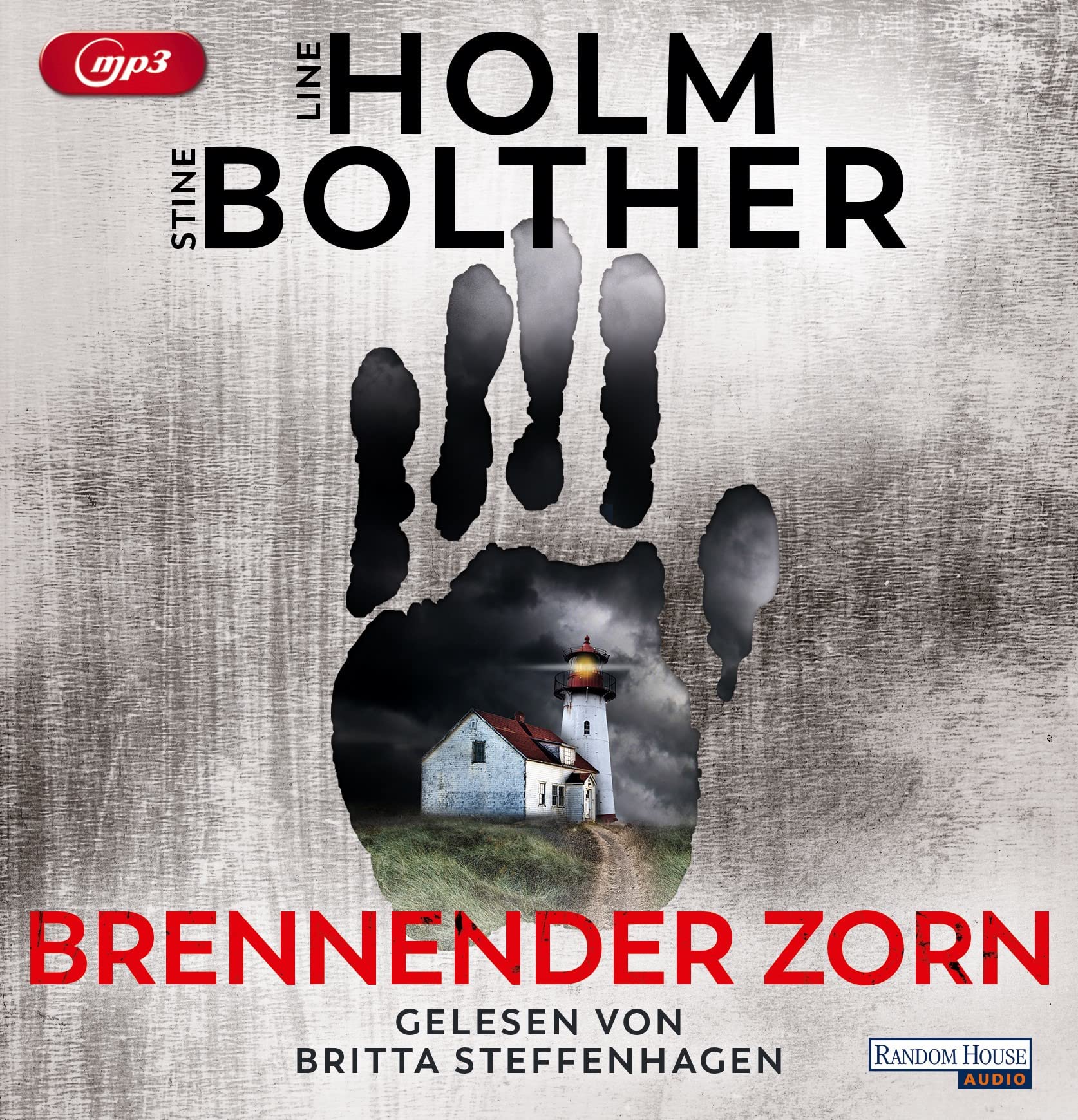 Brennender Zorn Contemporary literature Books