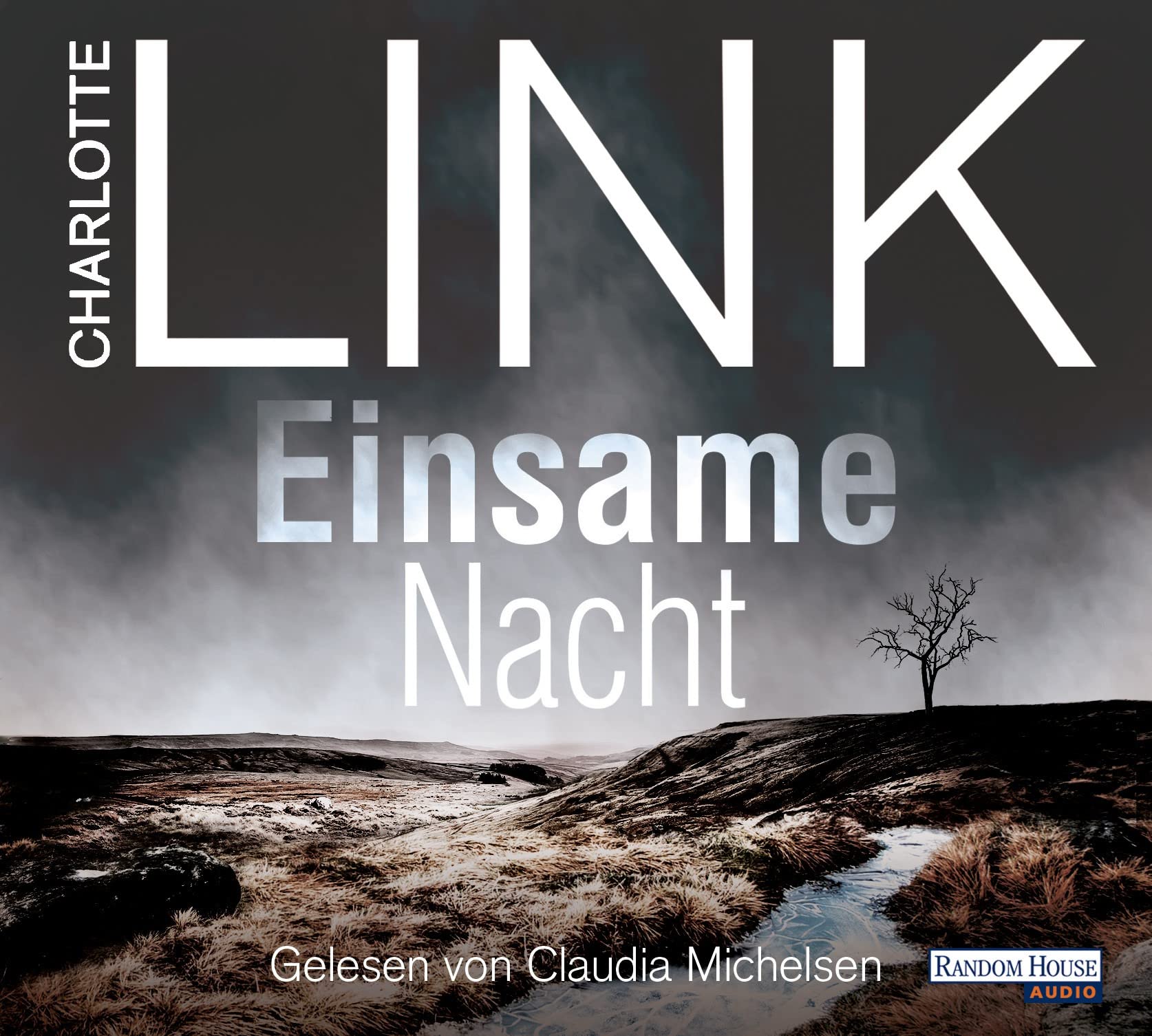 Einsame Nacht Contemporary literature Books