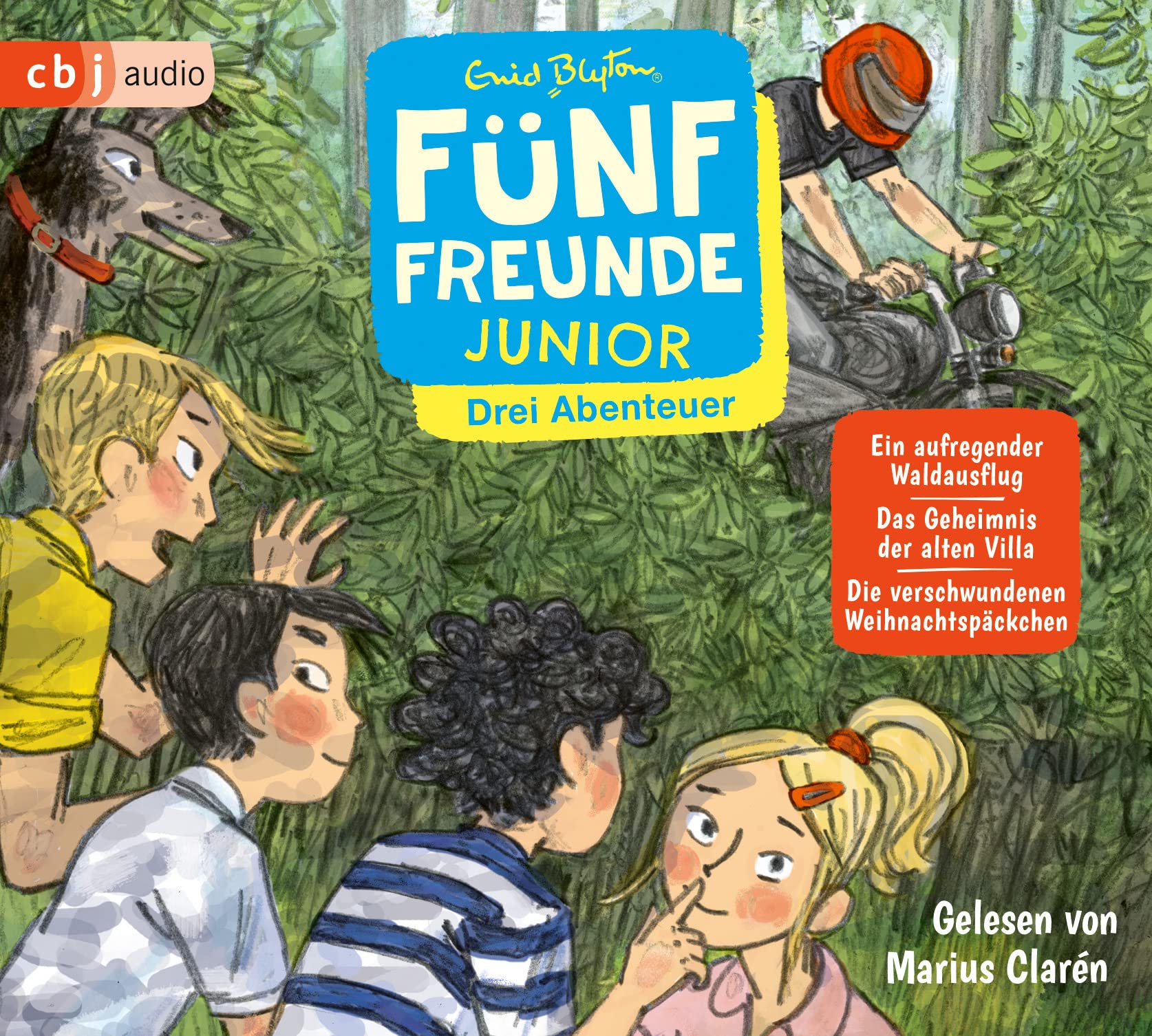 Fünf Freunde JUNIOR - Drei Abenteuer - Ein aufregender Waldausflug. Das Geheimnis der alten Villa. Die verschwundenen Weihnachtspäckchen Non-fiction