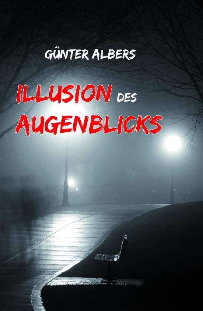 Illusion des Augenblicks Contemporary literature Books