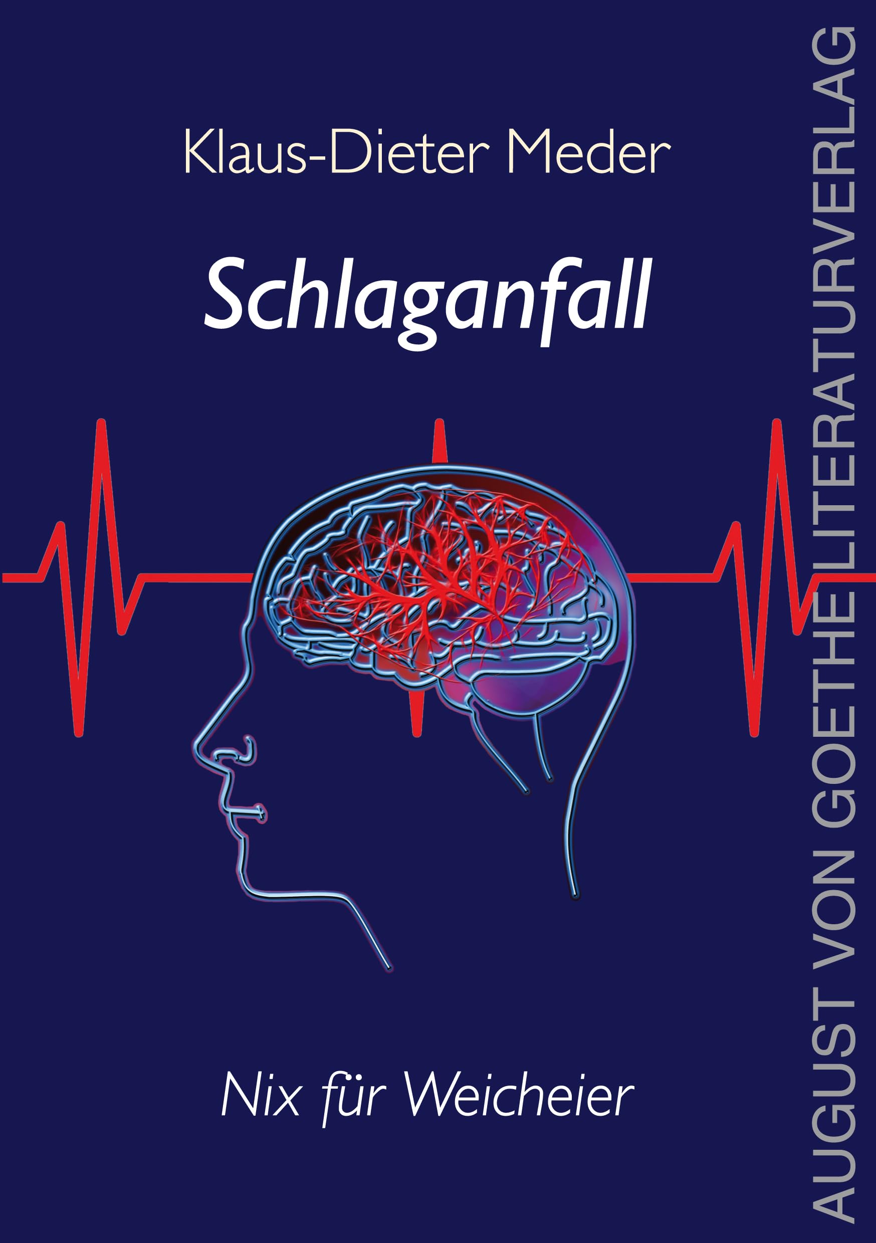 Schlaganfall - nix für Weicheier Contemporary literature