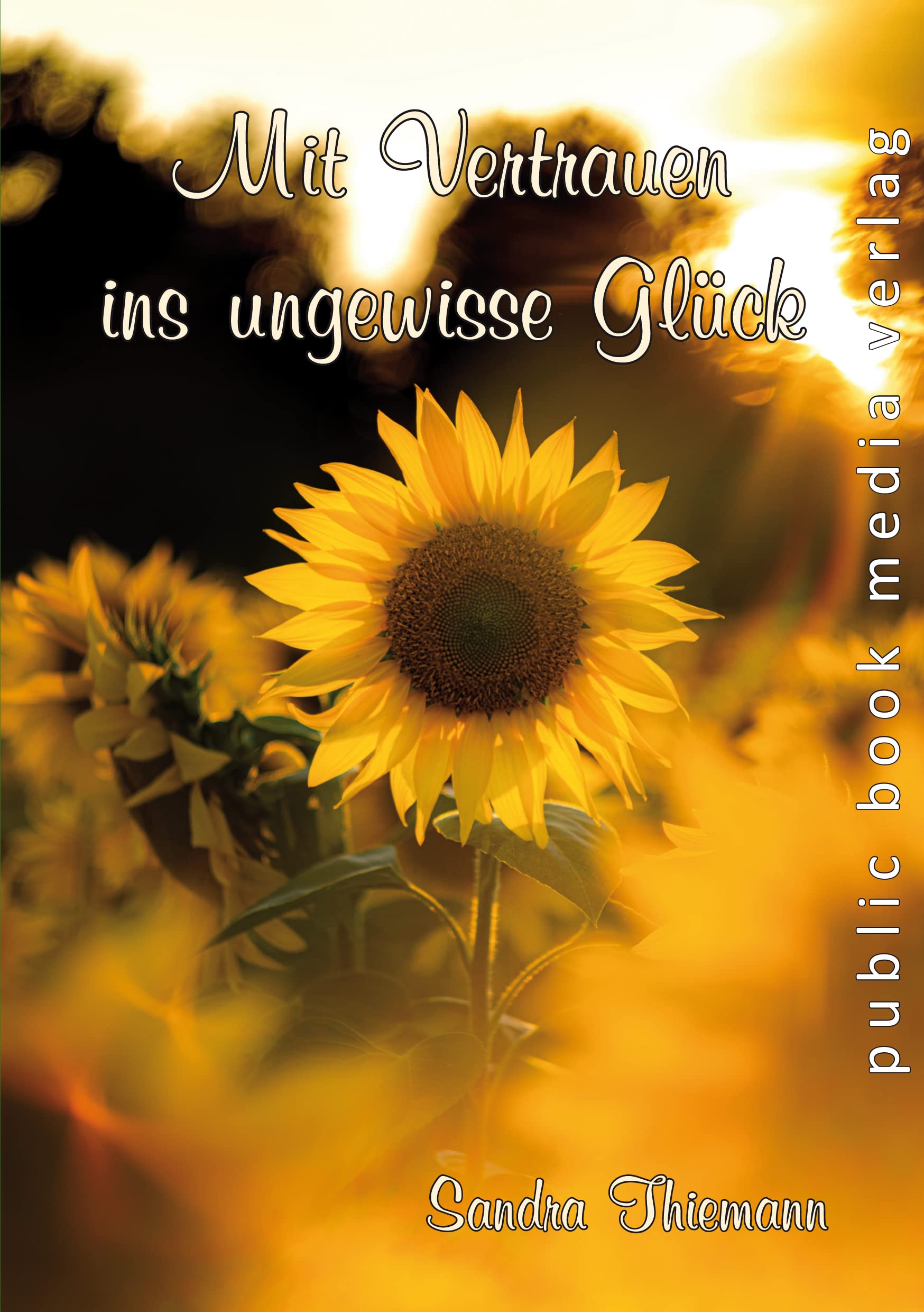 Mit Vertrauen ins ungewisse Glück book