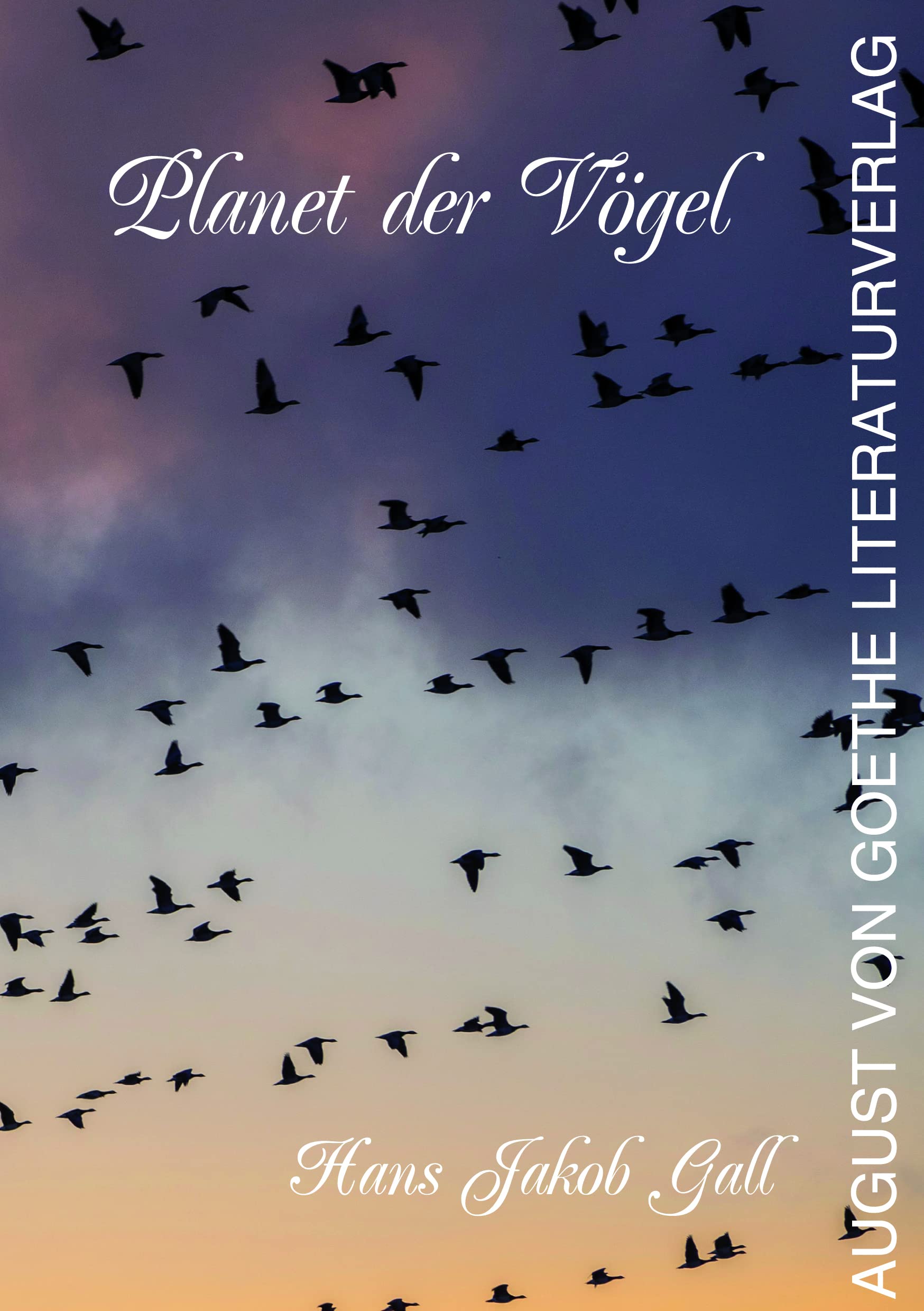 Planet der Vögel: Roman Contemporary literature
