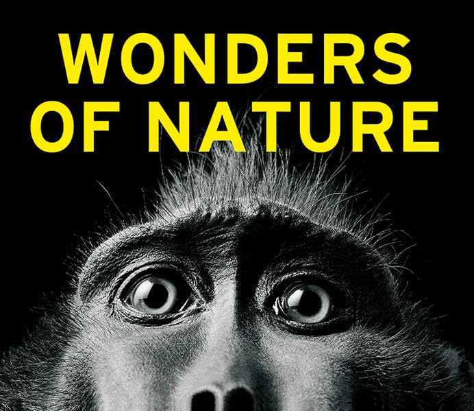 Wonders of Nature Photography