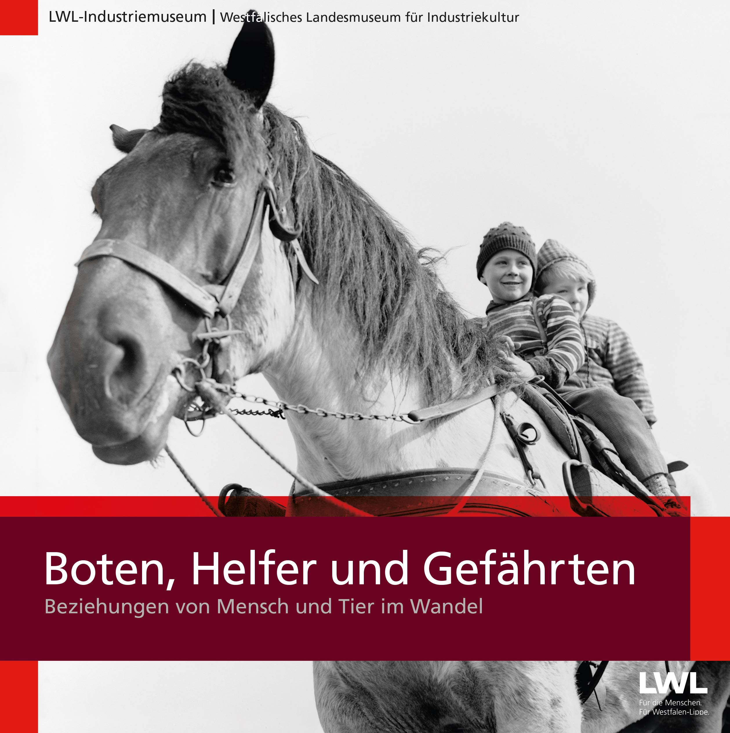 Boten, Helfer und Gefährten book