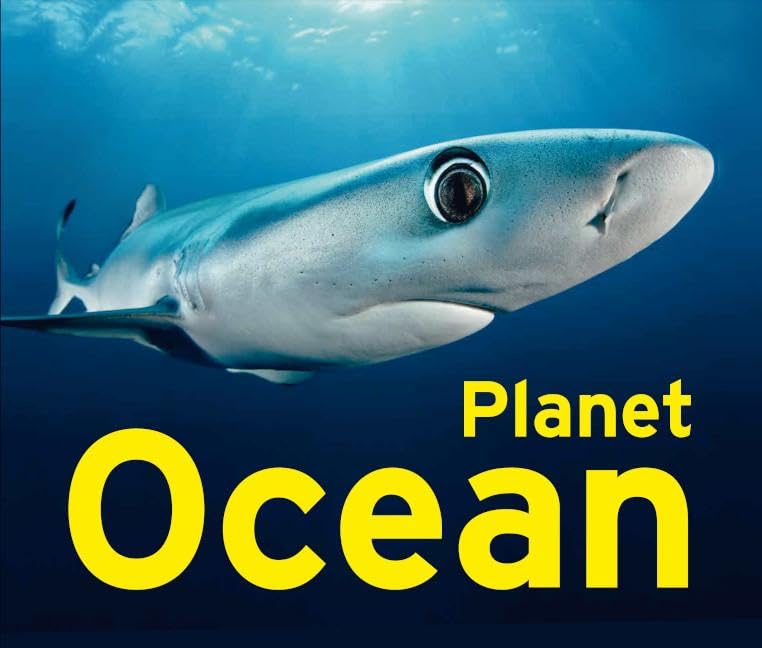 Planet Ocean: exhibition catalogue Film, Art & Culture