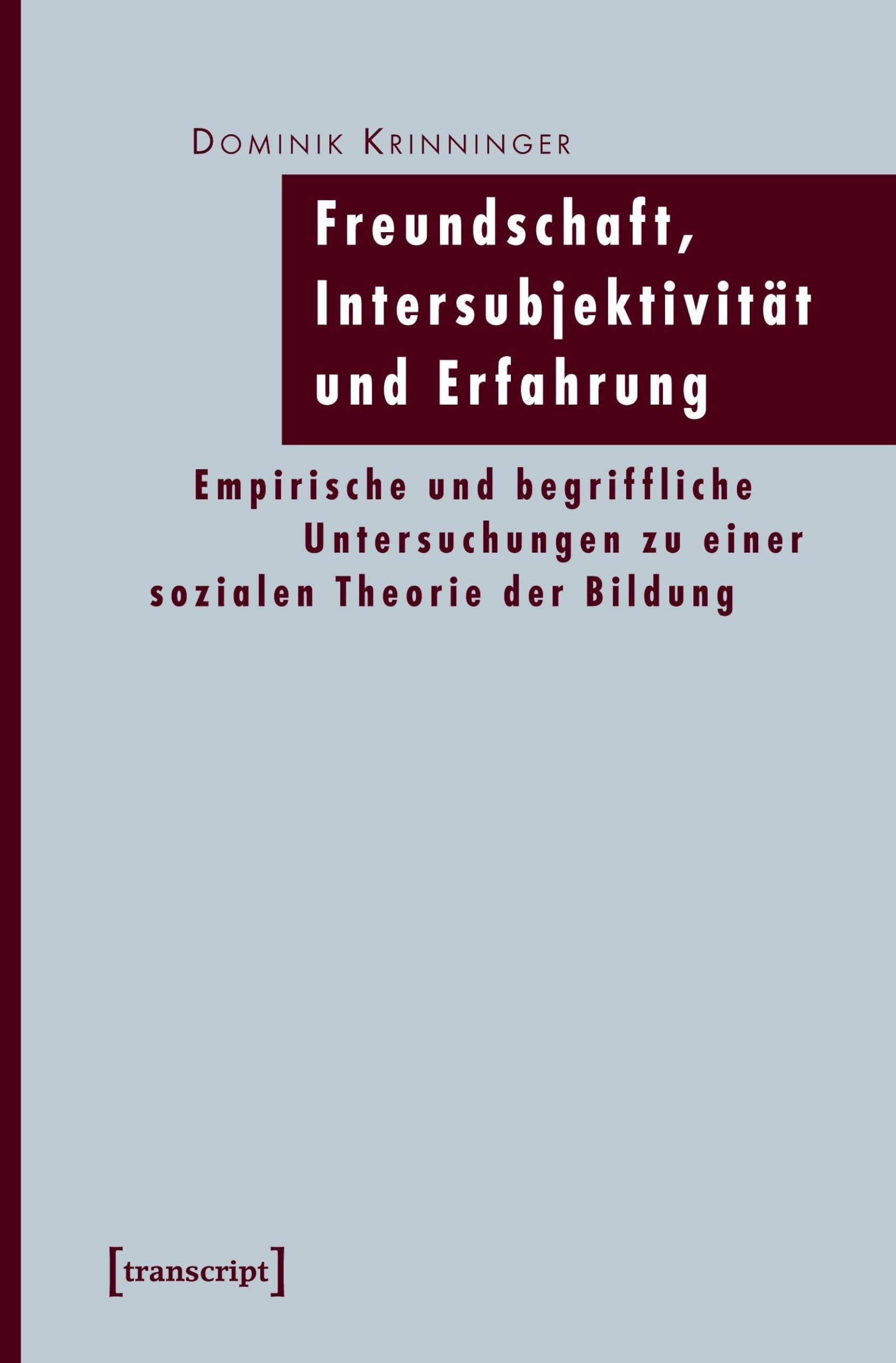 Freundschaft, Intersubjektivität und Erfahrung book