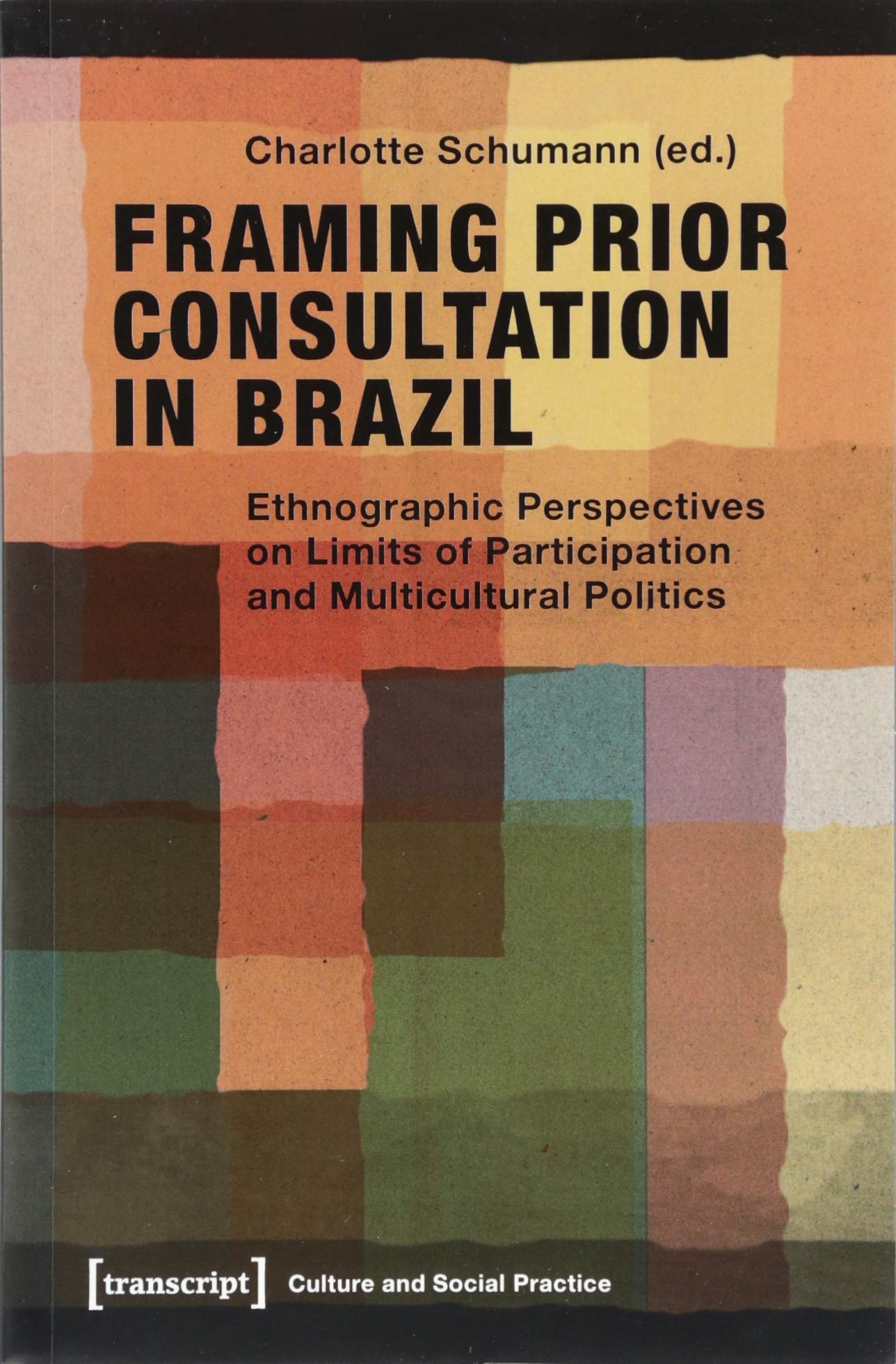Framing Prior Consultation in Brazil: Ethnographic Perspectives on Limits of Participation and Multicultural Politics (Kultur und soziale Praxis) Philosophy