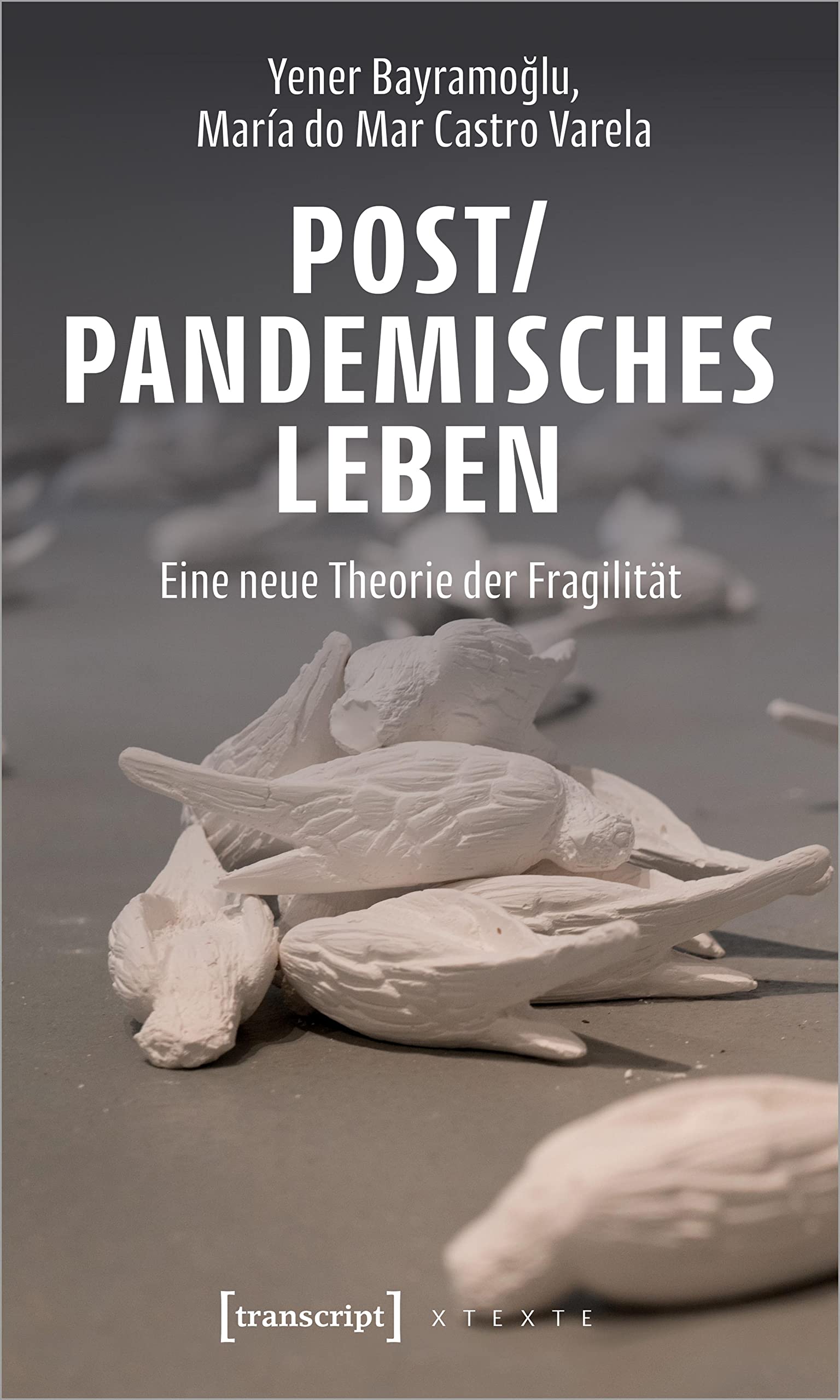 Product Image: Post/pandemisches Leben