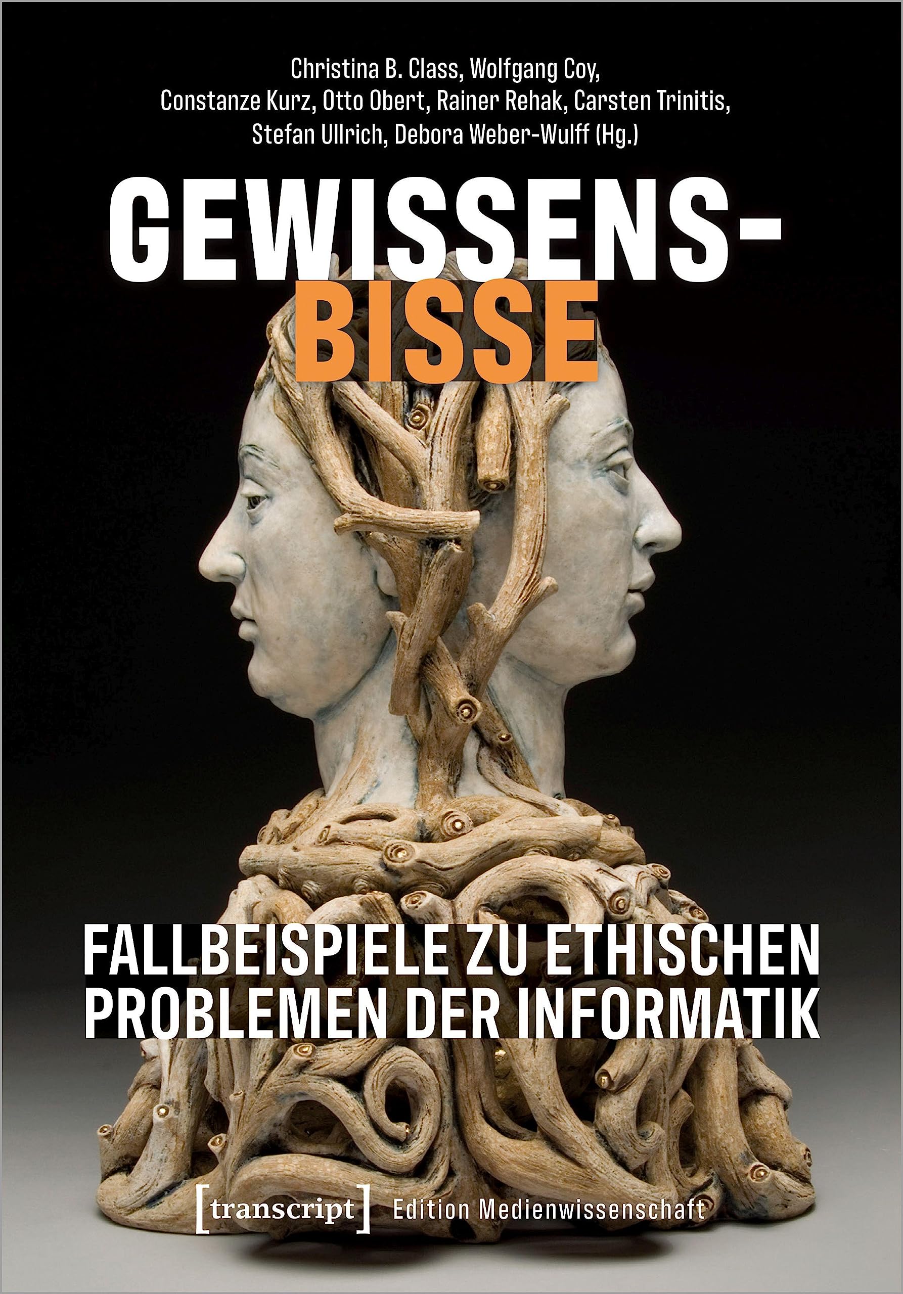 Product Image: Gewissensbisse – Fallbeispiele zu ethischen Problemen der Informatik