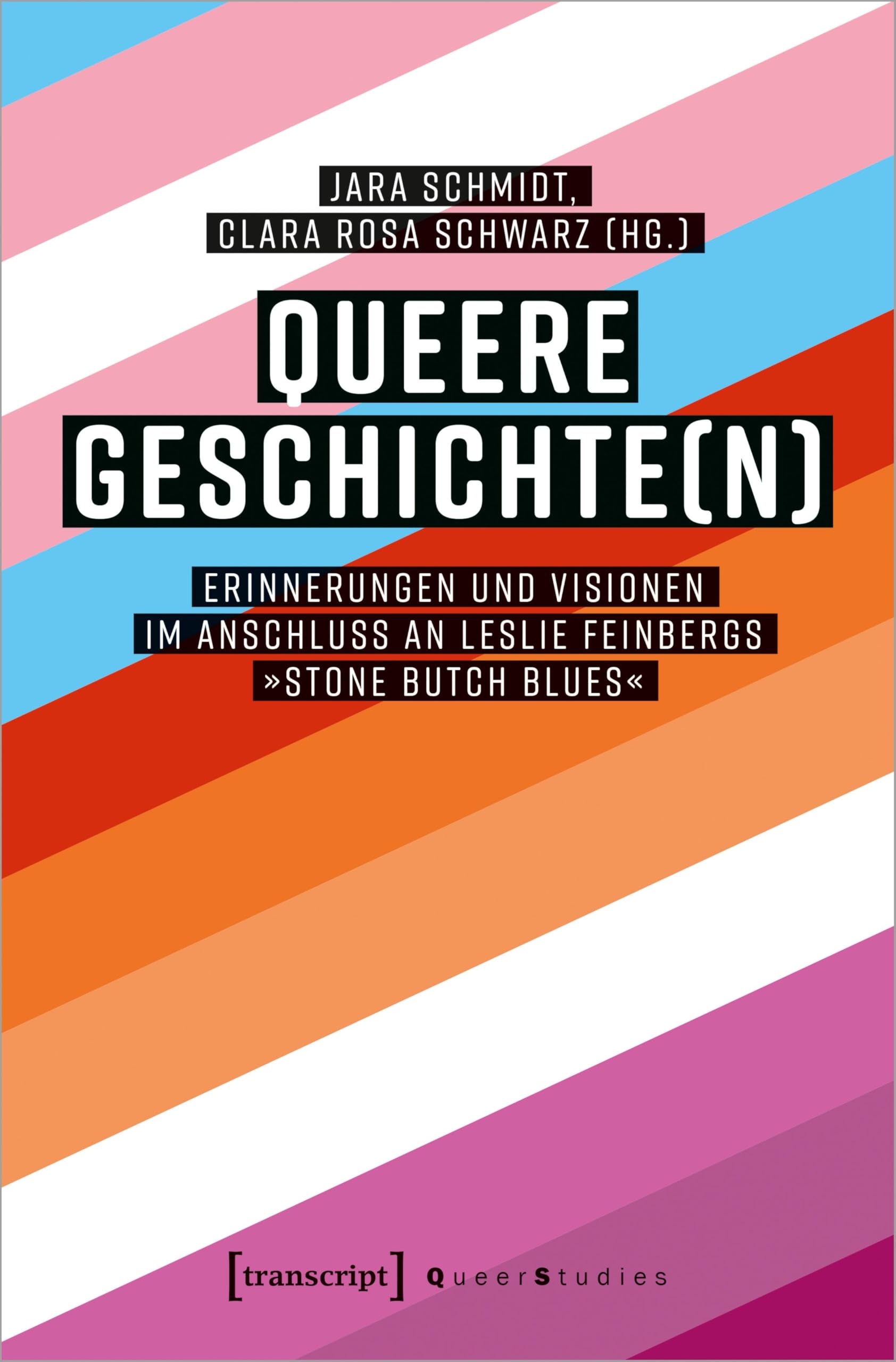 Queere Geschichte(n): Erinnerungen und Visionen im Anschluss an Leslie Feinbergs »Stone Butch Blues« (Queer Studies) Books