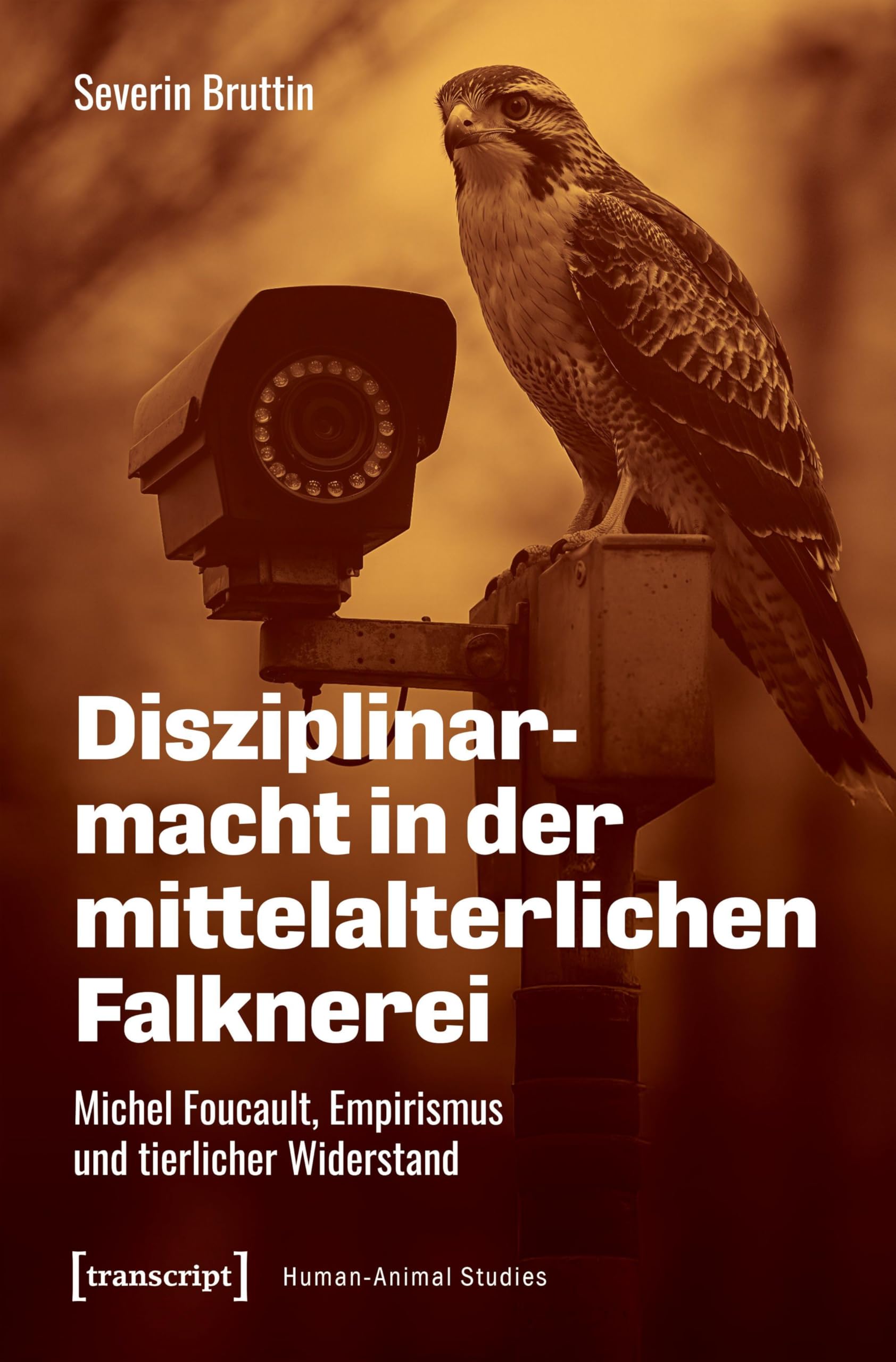 Disziplinarmacht in der mittelalterlichen Falknerei Philosophy