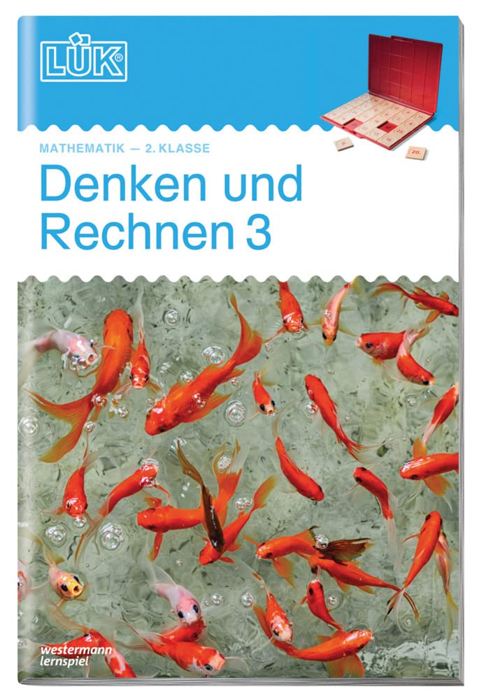 LÜK. Denken und Rechnen 3 Study Guides Books