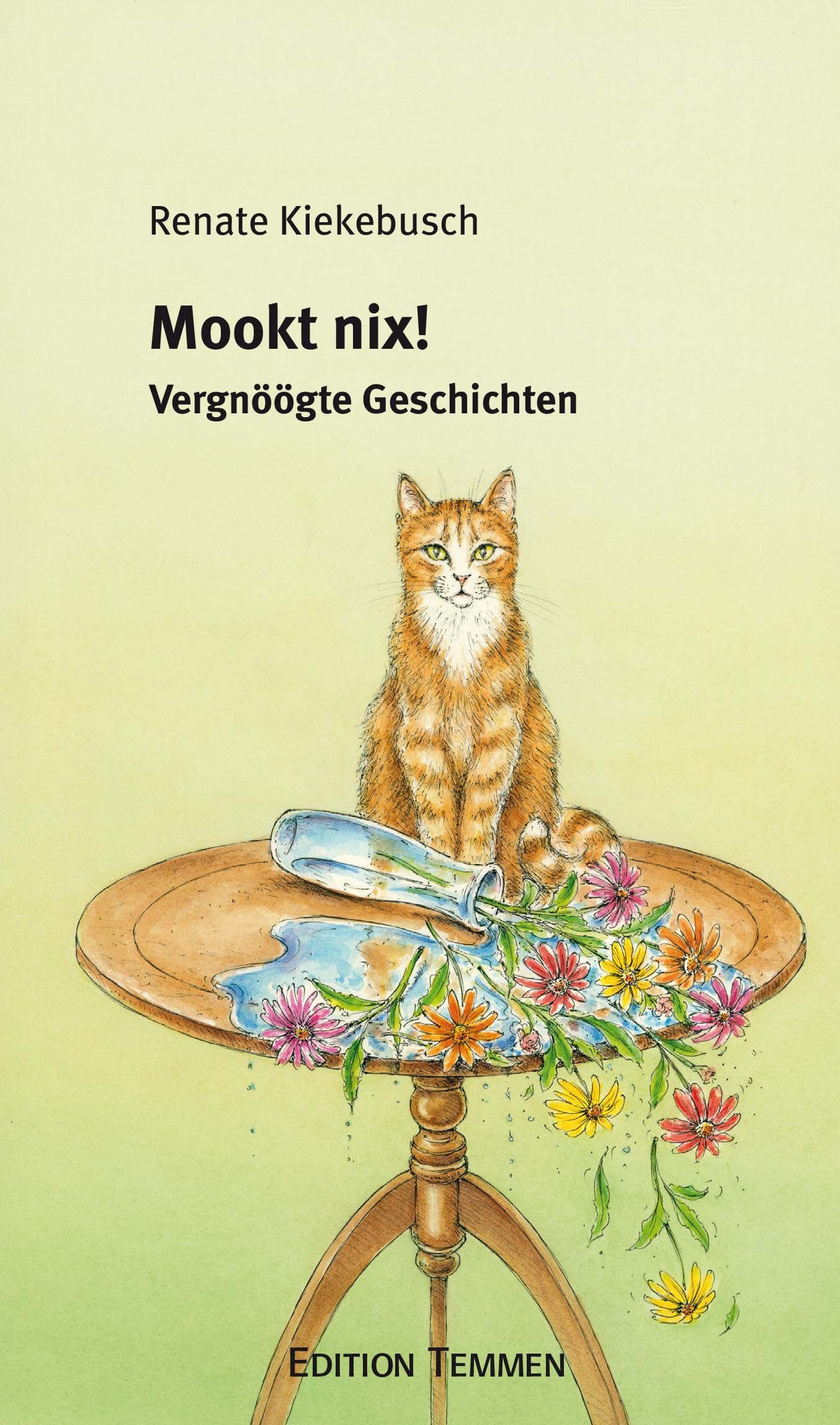 Mookt nix!: Vergnöögte Geschichten Contemporary literature
