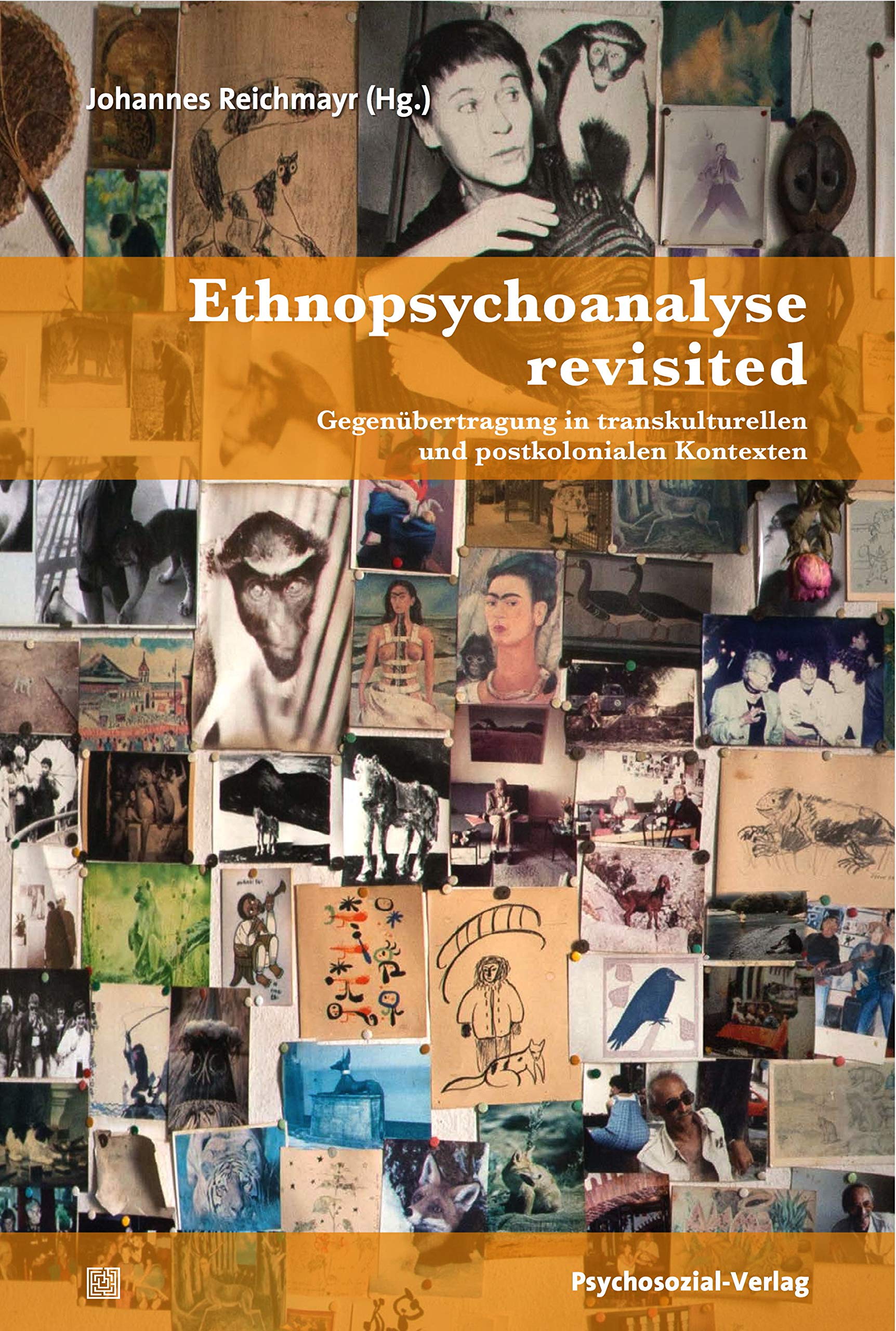 Ethnopsychoanalyse revisited book
