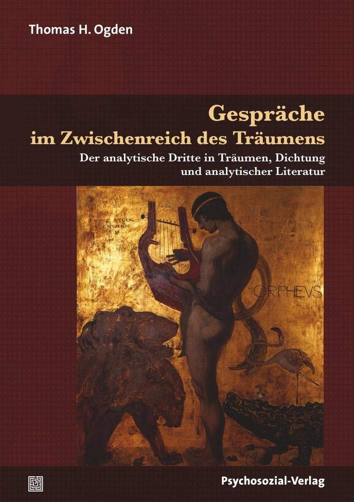 Gespräche im Zwischenreich des Träumens: Der analytische Dritte in Träumen, Dichtung und analytischer Literatur (Bibliothek der Psychoanalyse) Medicine