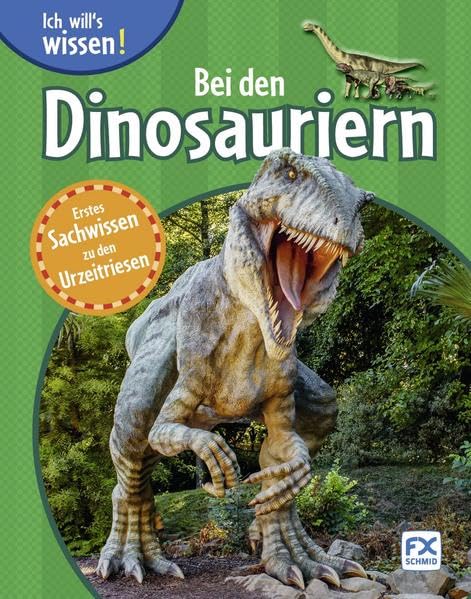 Ich will¿s wissen: Bei den Dinosauriern Non-fiction books for kids