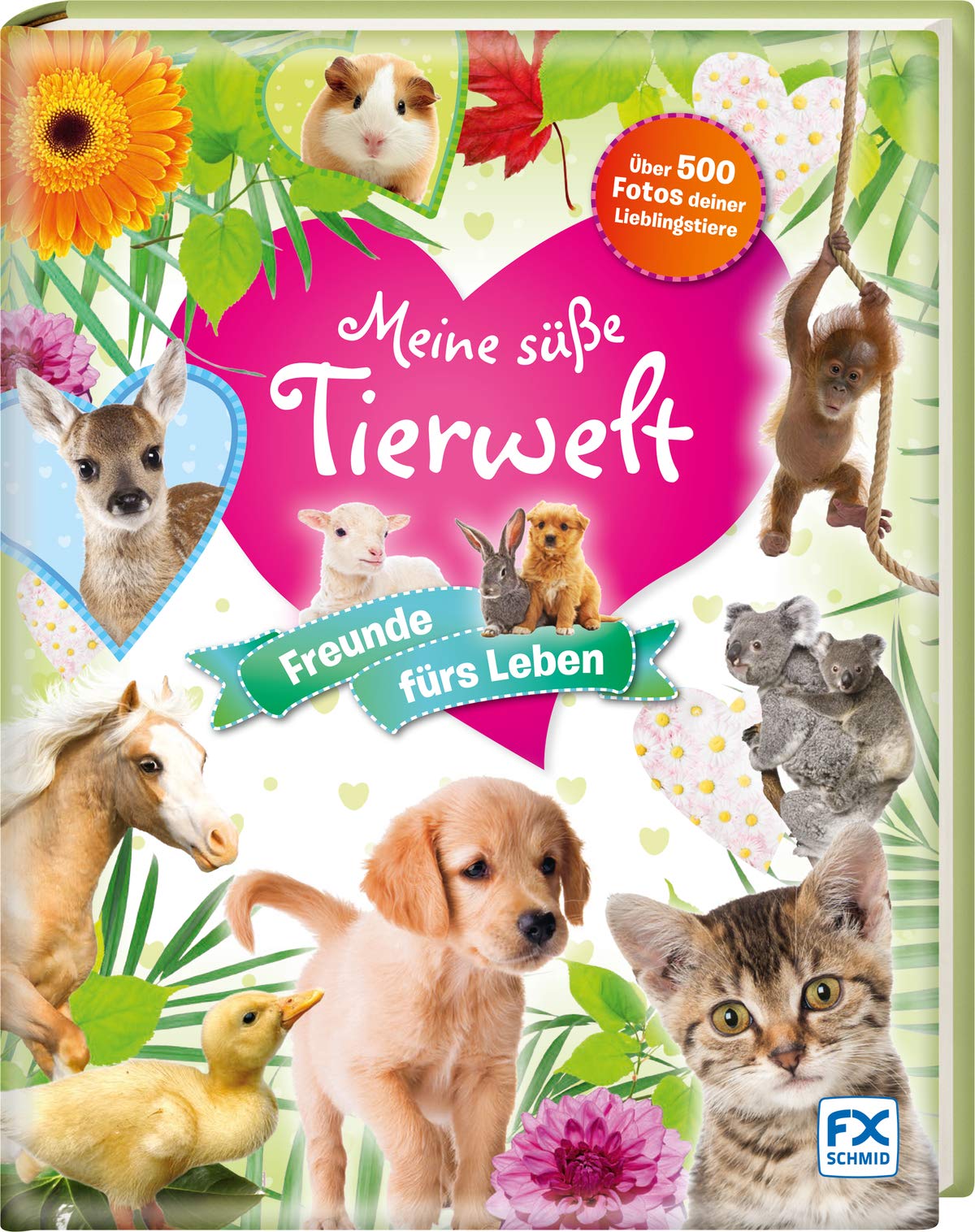 Meine süße Tierwelt - Freunde fürs Leben! Non-fiction
