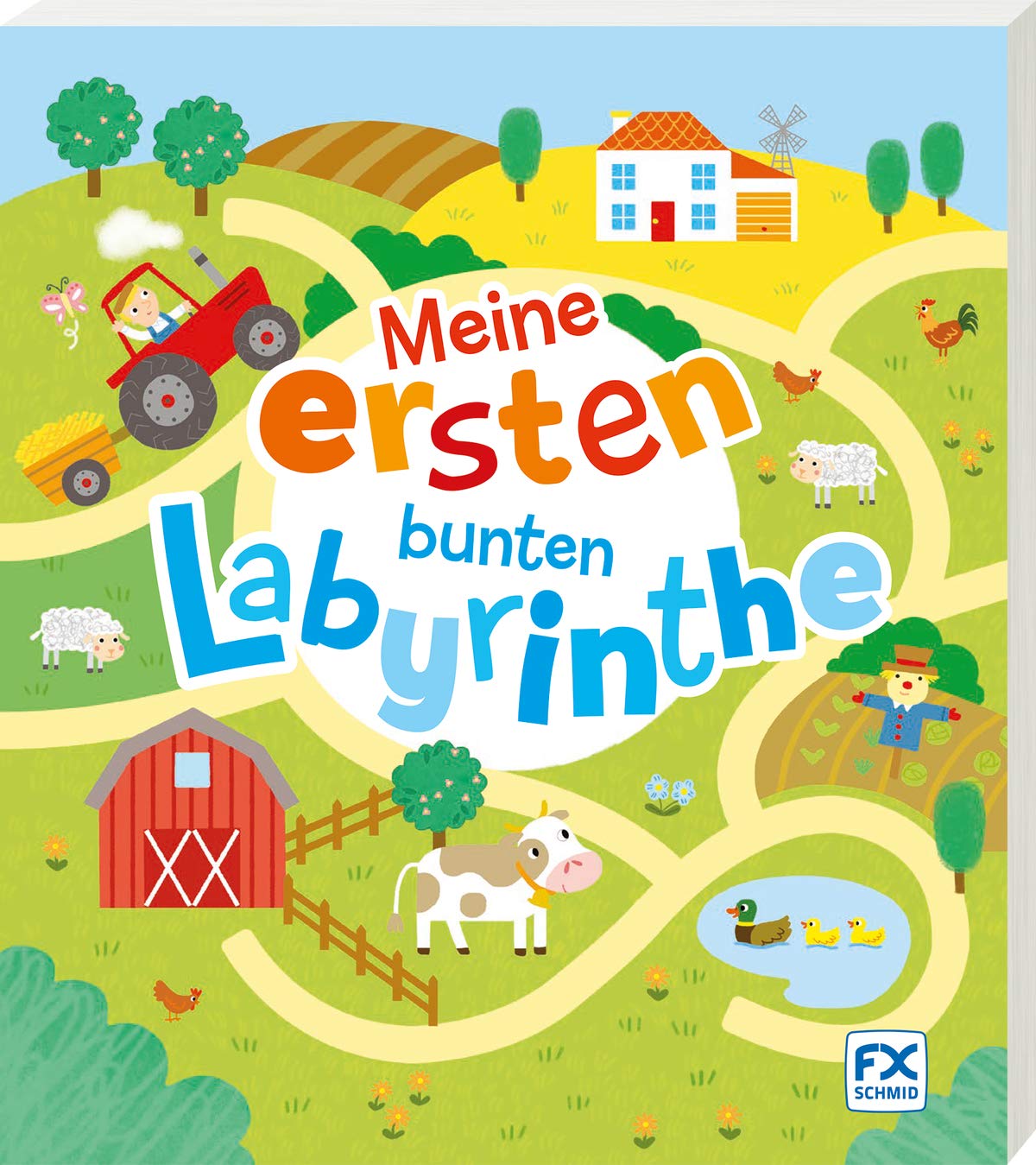 Meine ersten bunten Labyrinthe book