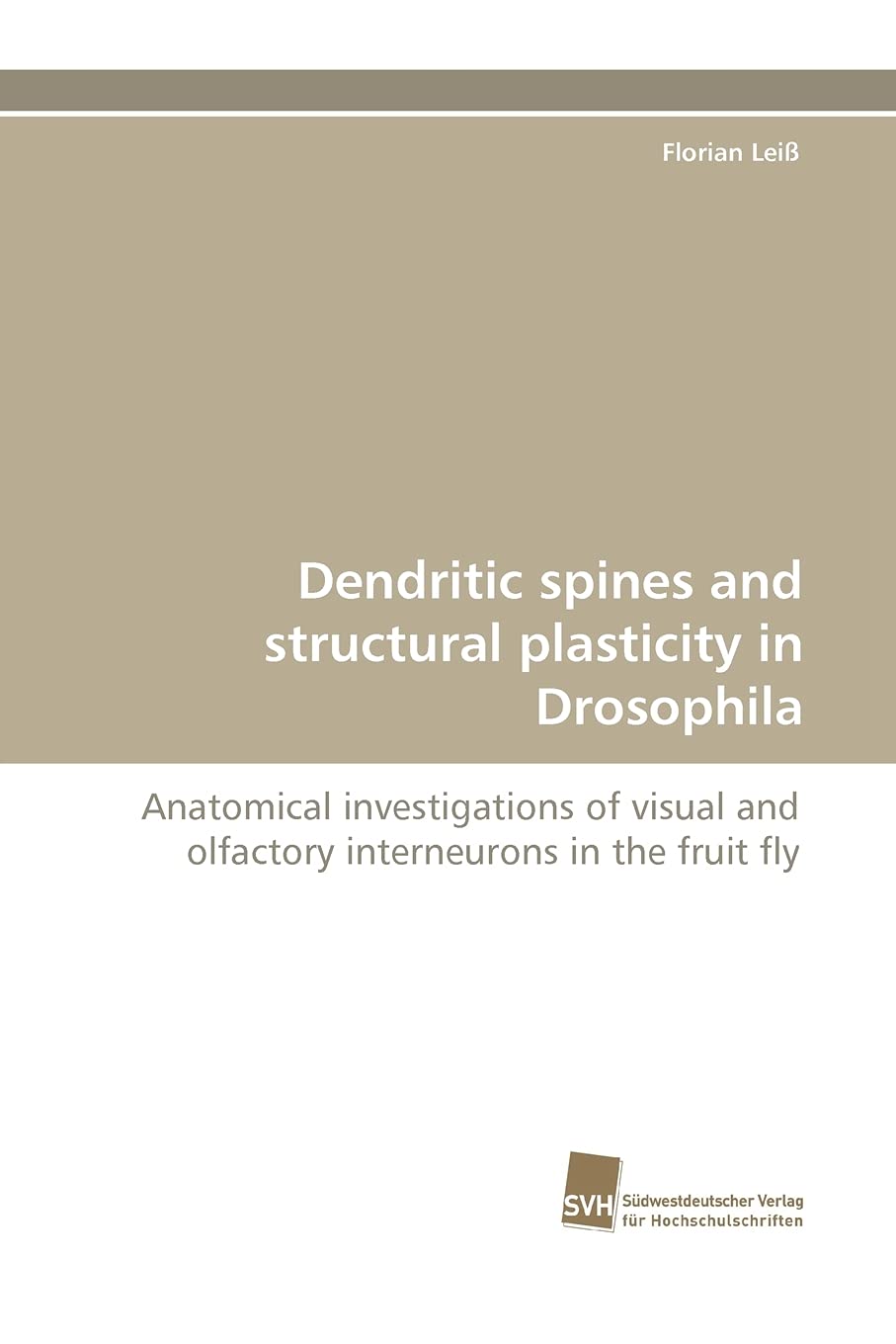 Dendritic spines and structural plasticity in Drosophila: Anatomical investigations of visual and olfactory interneurons in the fruit fly Natural Sciences