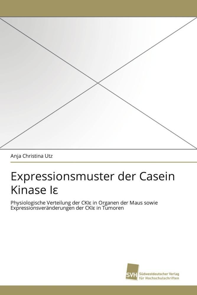 Expressionsmuster der Casein Kinase Iε: Physiologische Verteilung der CKIε in Organen der Maus sowie Expressionsveränderungen der CKIε in Tumoren: ... Expressionsveränderungen der CKIe in Tumoren Medicine
