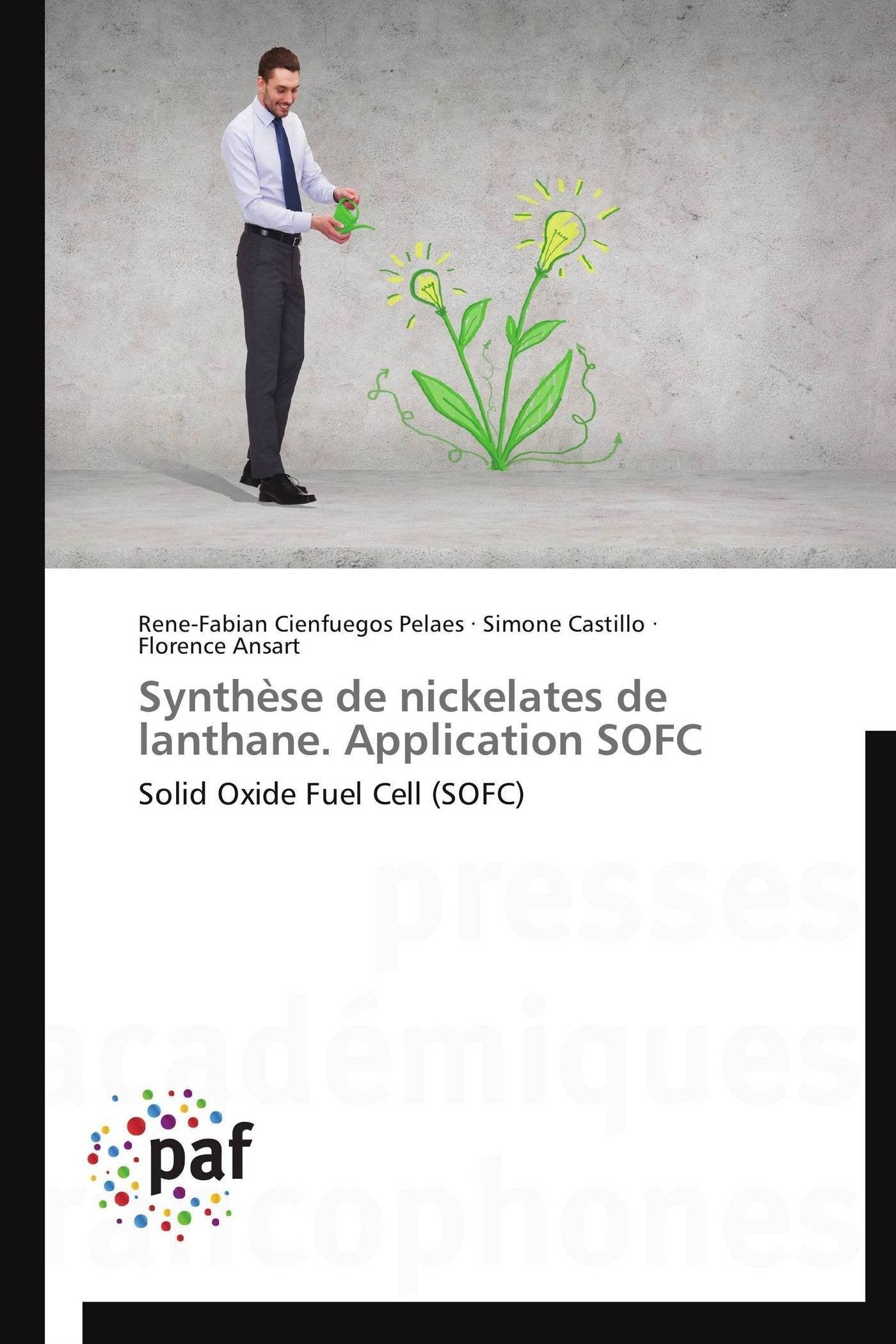 Synthèse de nickelates de lanthane. Application SOFC: Solid Oxide Fuel Cell (SOFC) book