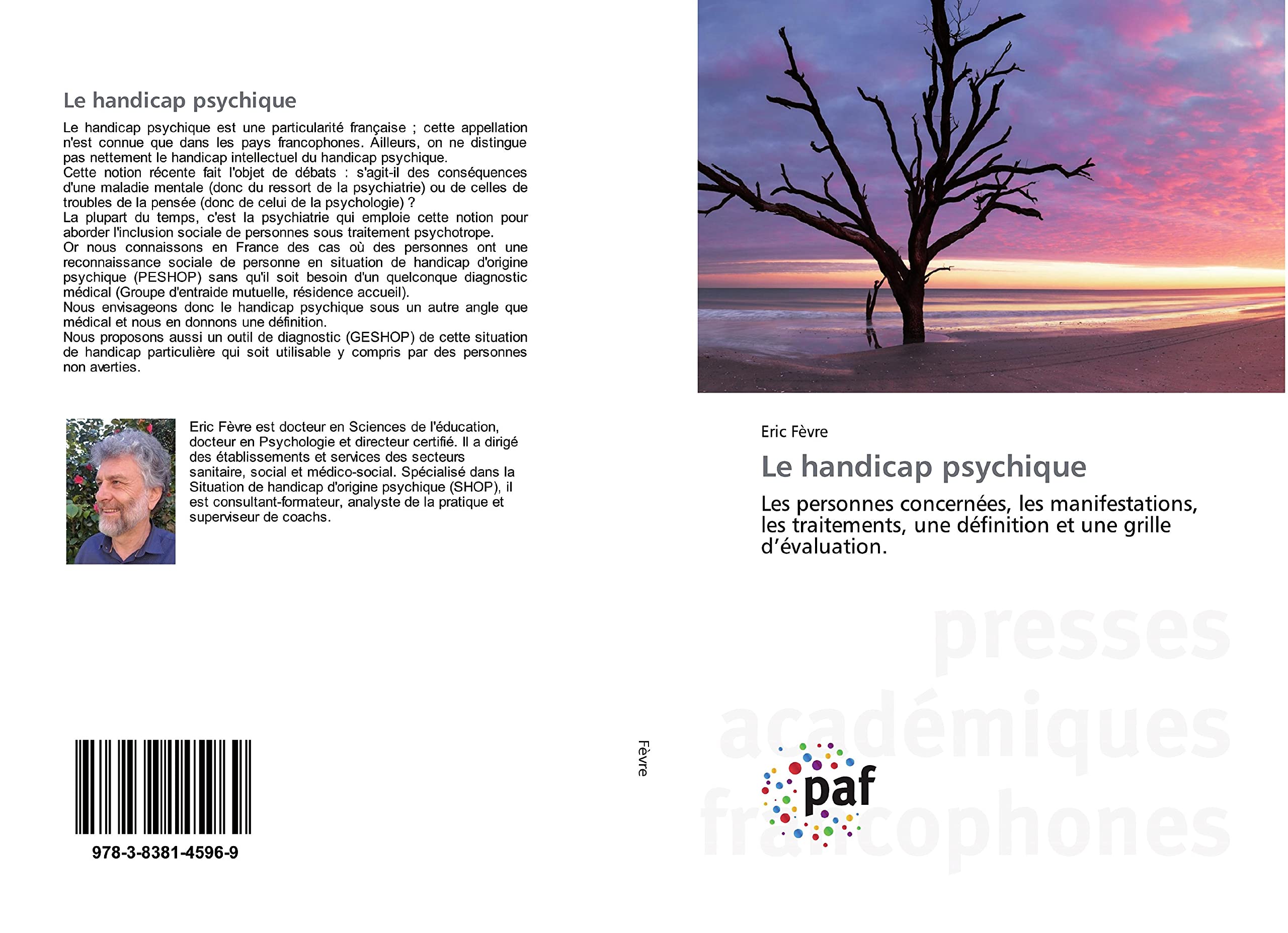 Le handicap psychique: Les personnes concernées, les manifestations, les traitements, une définition et une grille d’évaluation. book