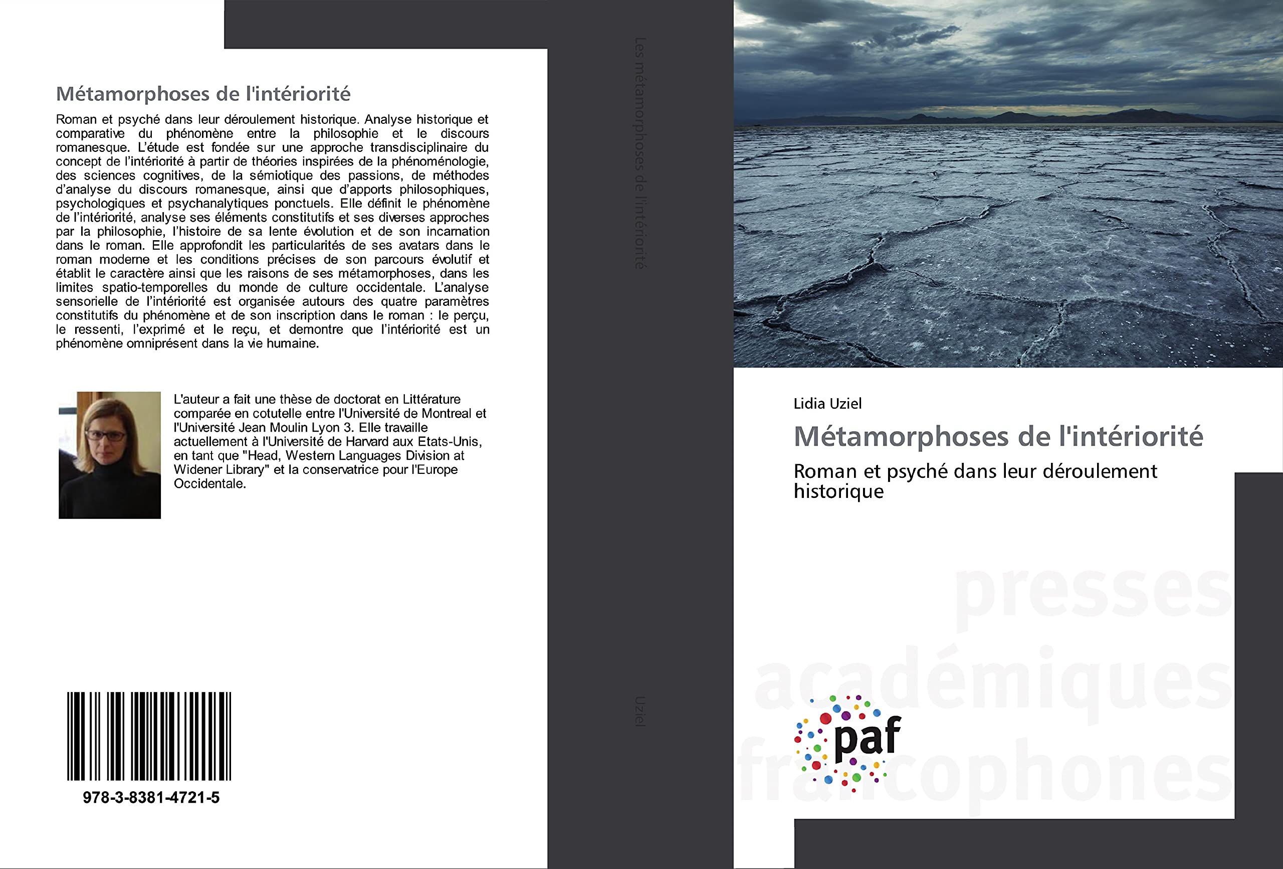 Métamorphoses de l'intériorité: Roman et psyché dans leur déroulement historique Philosophy