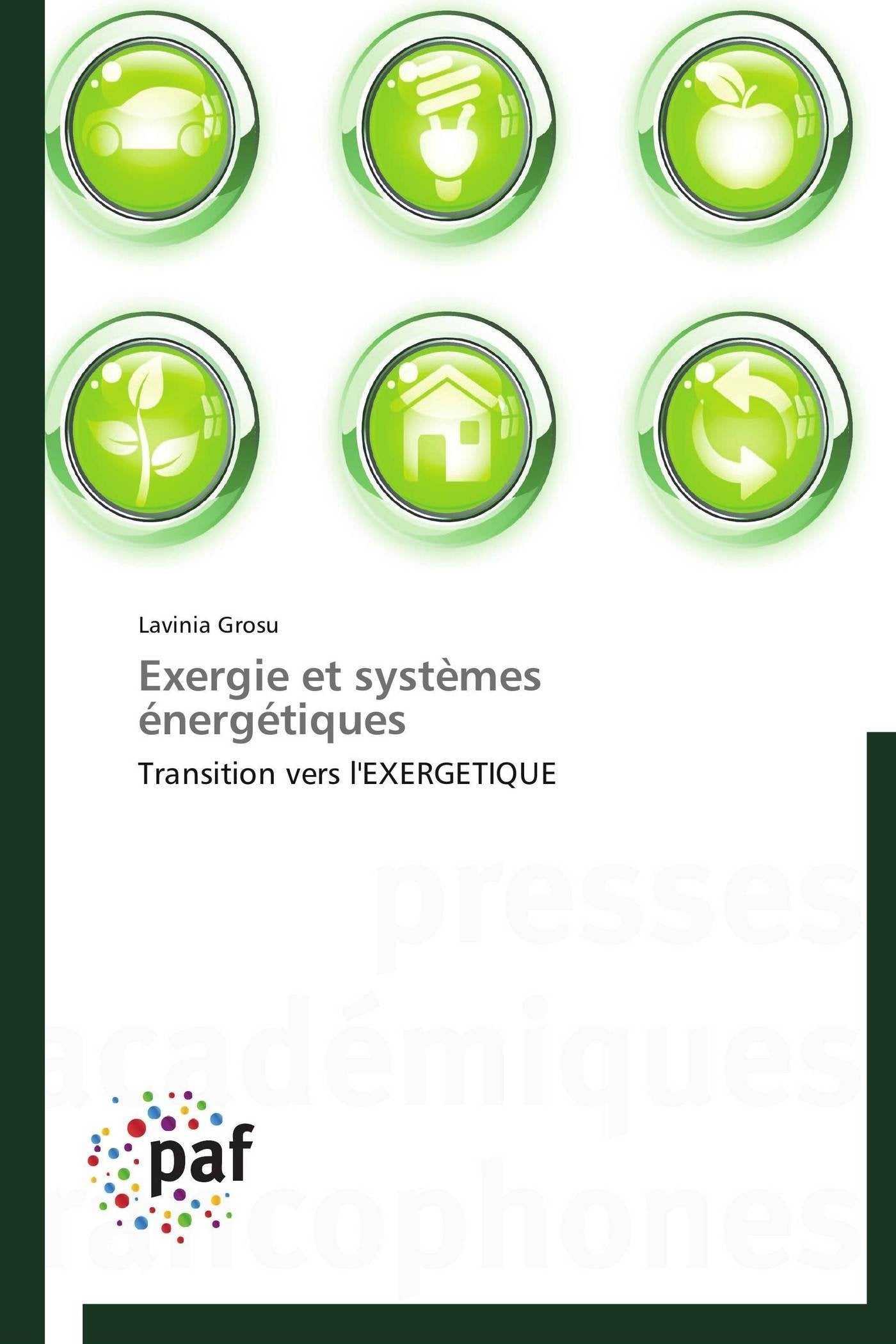 Exergie et systèmes énergétiques: Transition vers l'EXERGETIQUE book
