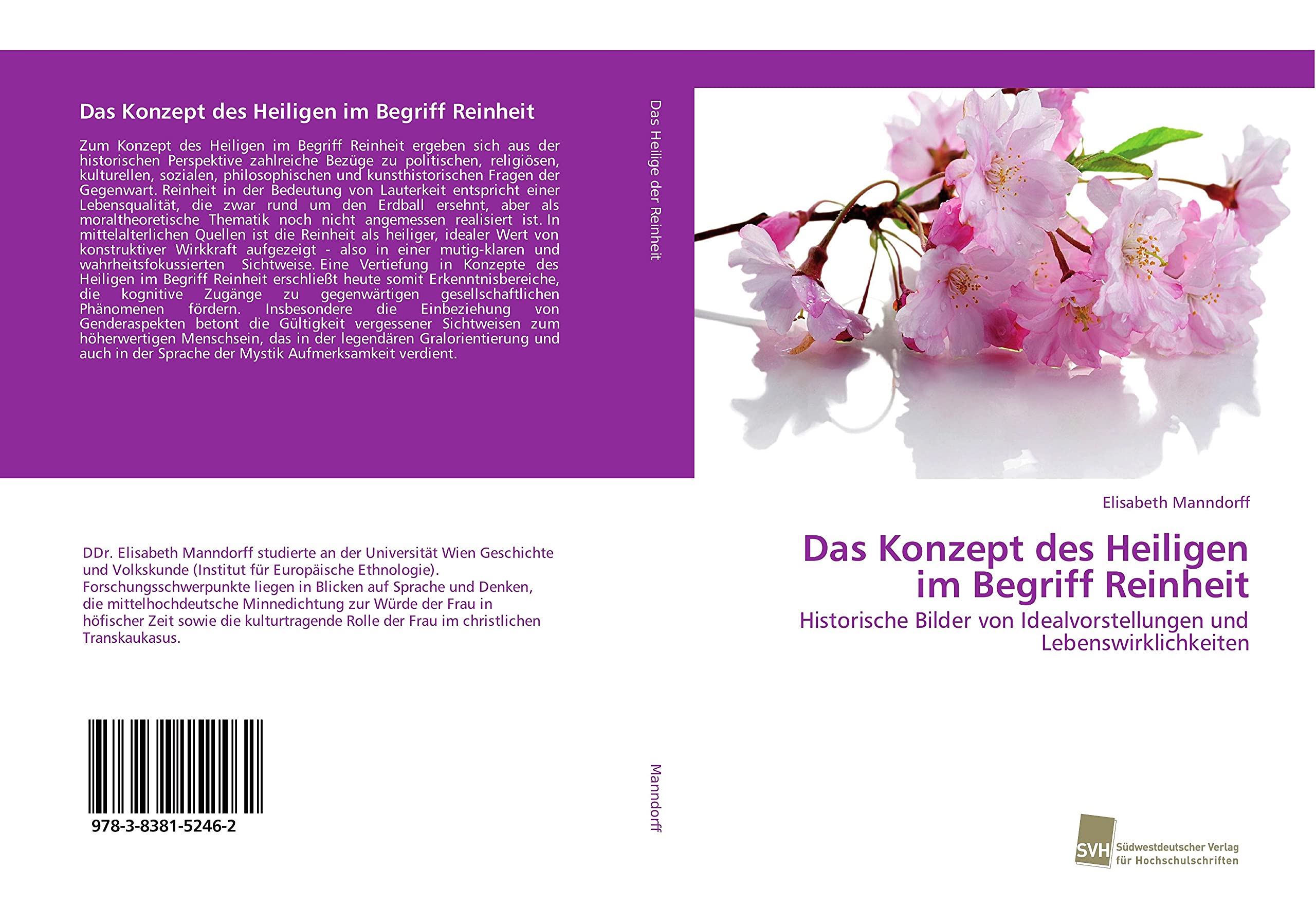 Das Konzept des Heiligen im Begriff Reinheit book