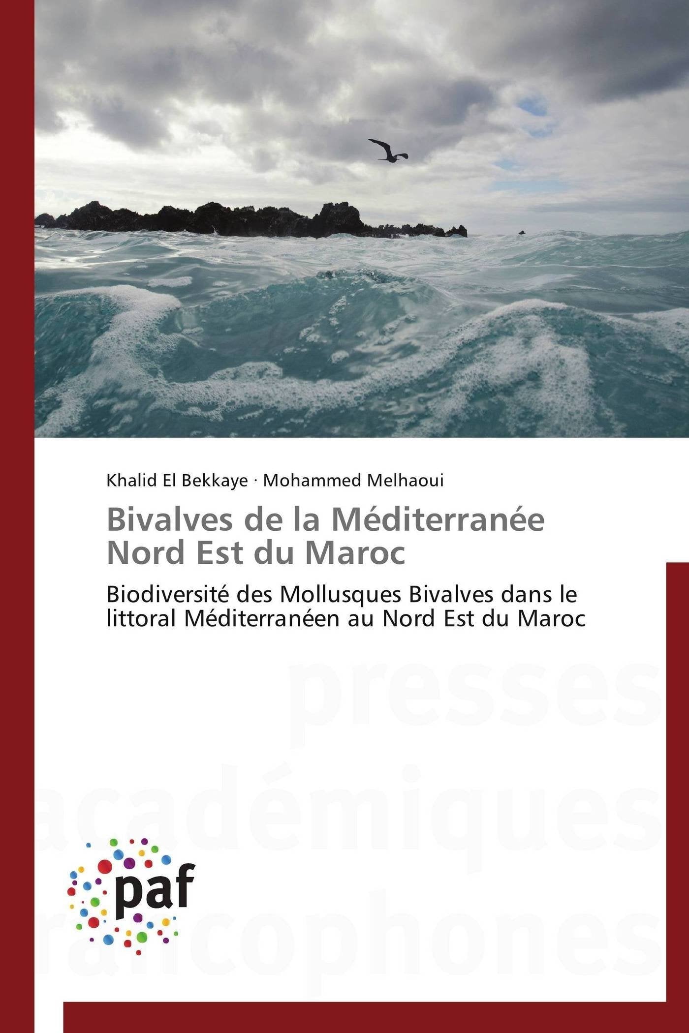 Bivalves de la Méditerranée Nord Est du Maroc: Biodiversité des Mollusques Bivalves dans le littoral Méditerranéen au Nord Est du Maroc book