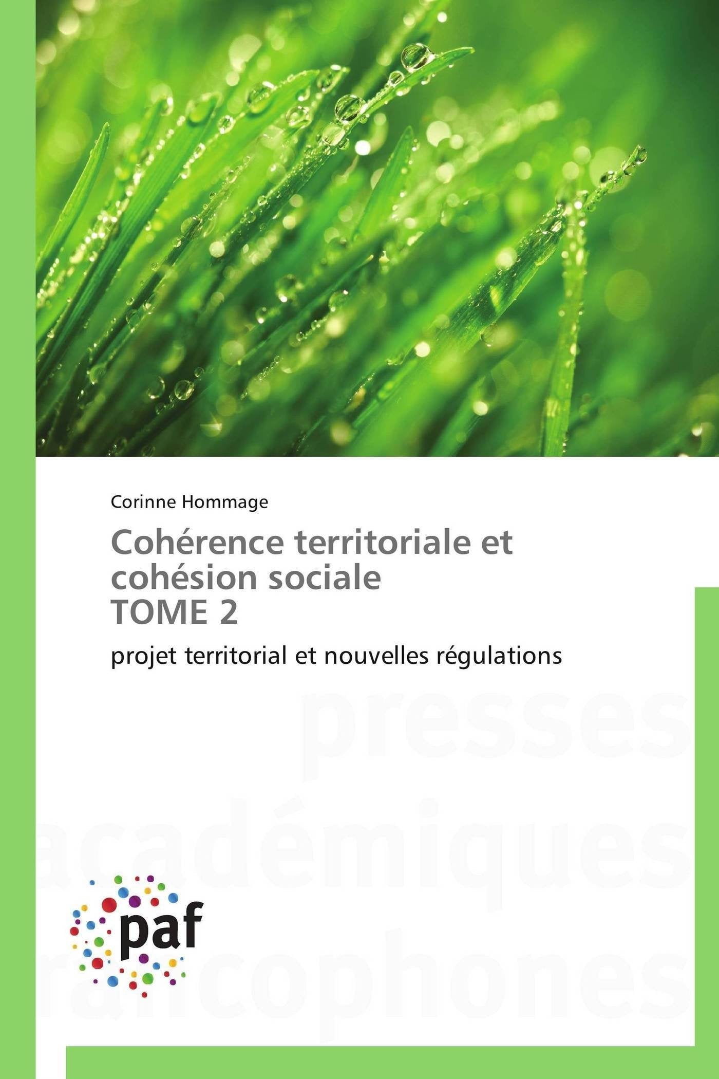Cohérence territoriale et cohésion sociale TOME 2: projet territorial et nouvelles régulations book