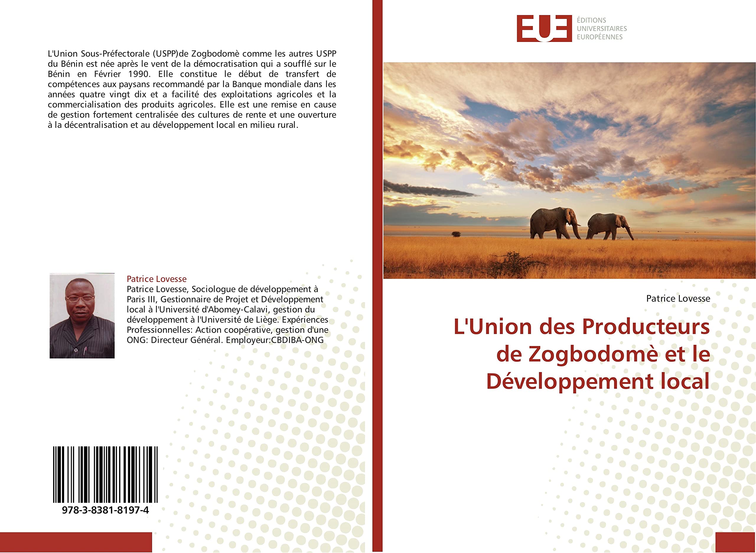 L'Union des Producteurs de Zogbodomè et le Développement local book