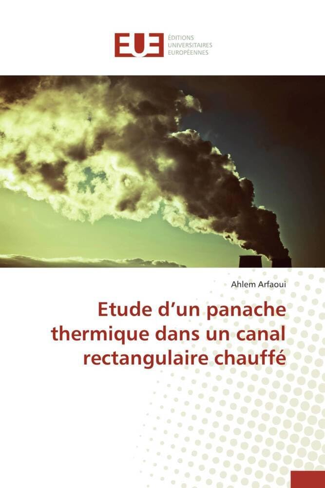 Etude d'un panache thermique dans un canal rectangulaire chauffé book