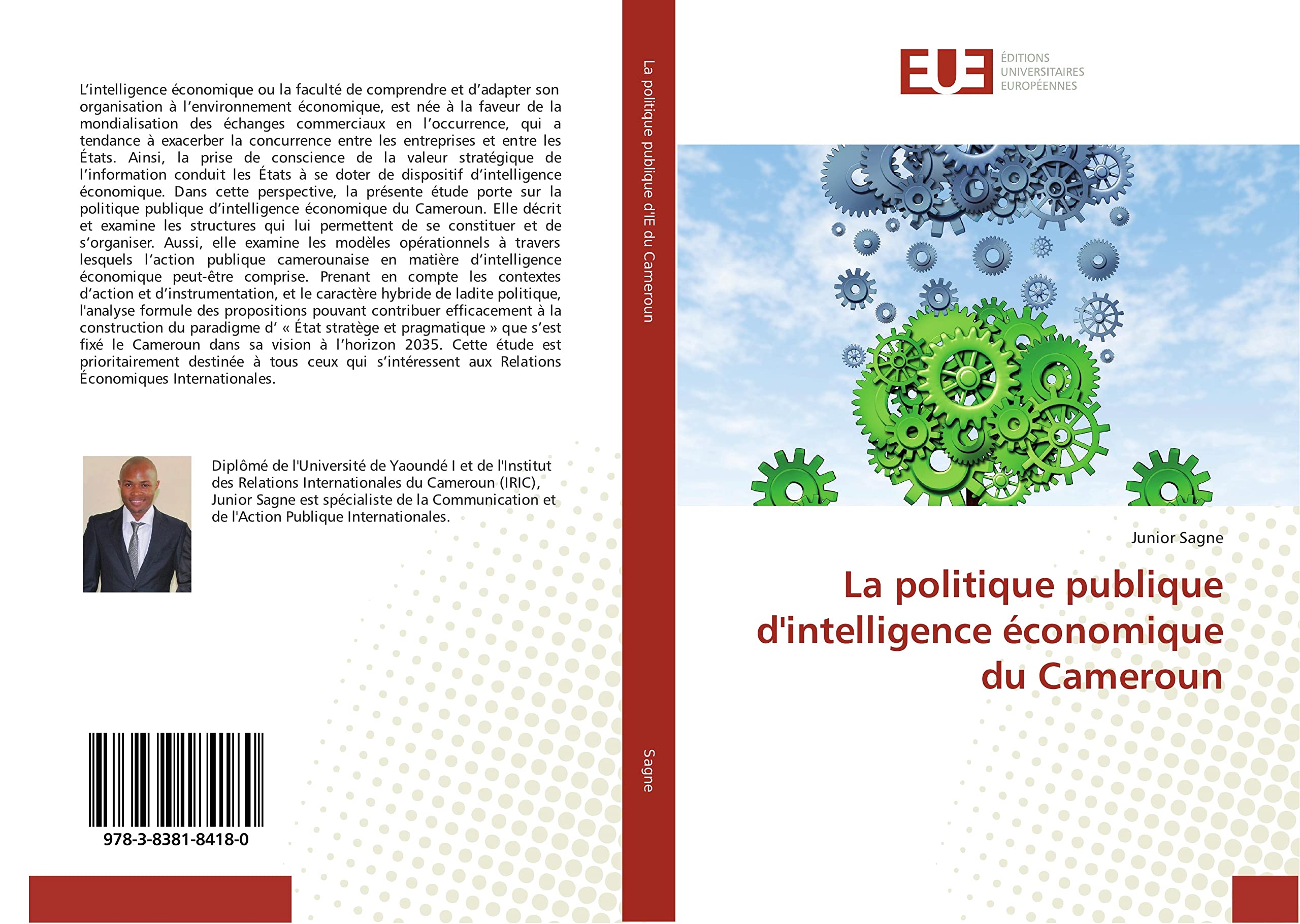 La politique publique d'intelligence économique du Cameroun book