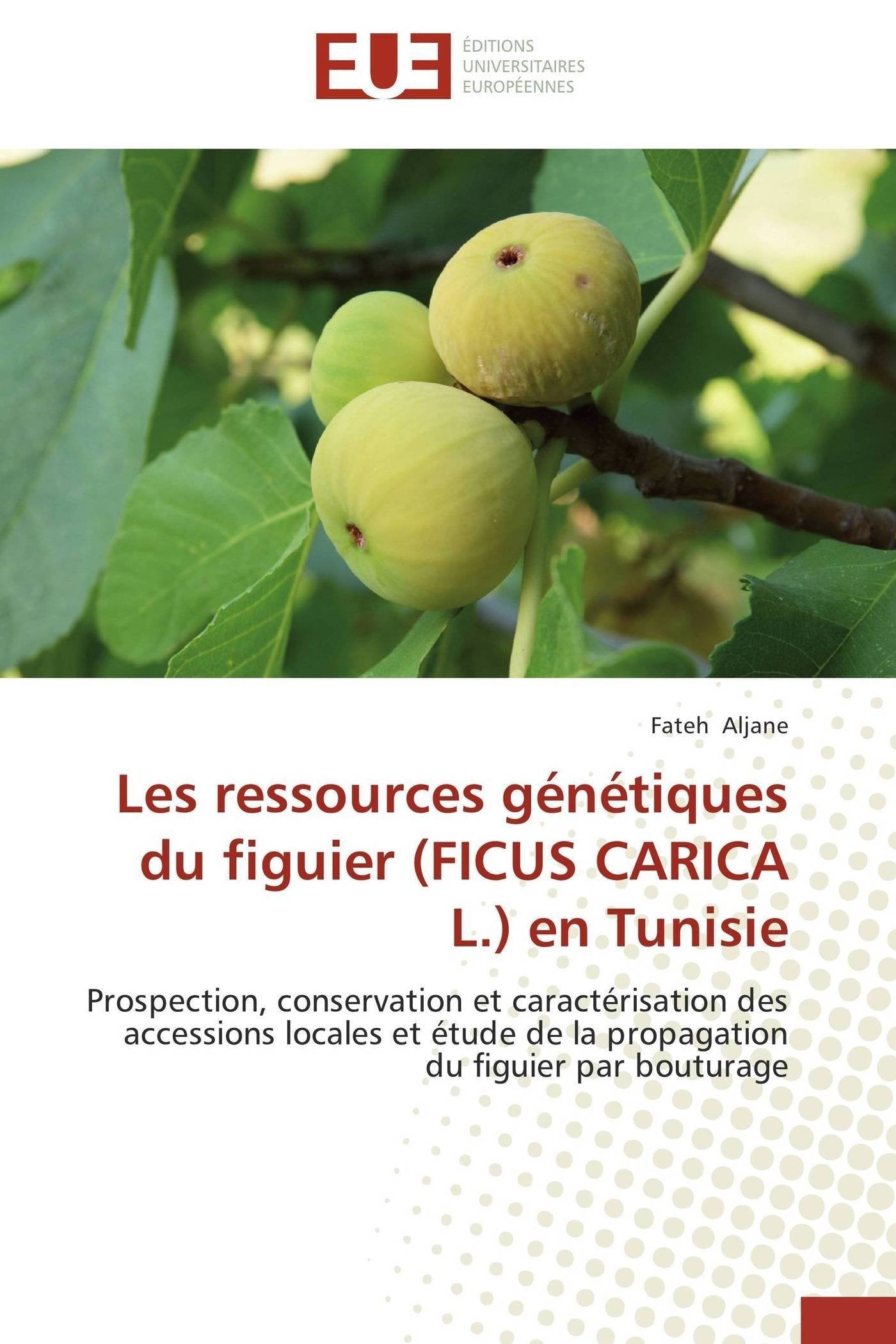 Les ressources génétiques du figuier (FICUS CARICA L.) en Tunisie: Prospection, conservation et caractérisation des accessions locales et étude de la propagation du figuier par bouturage book