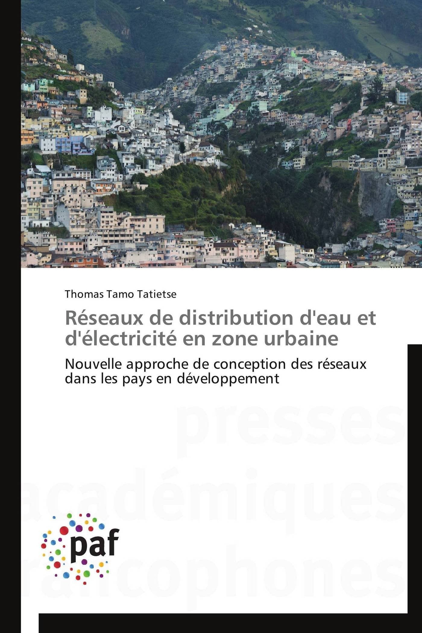 Réseaux de distribution d'eau et d'électricité en zone urbaine: Nouvelle approche de conception des réseaux dans les pays en développement book
