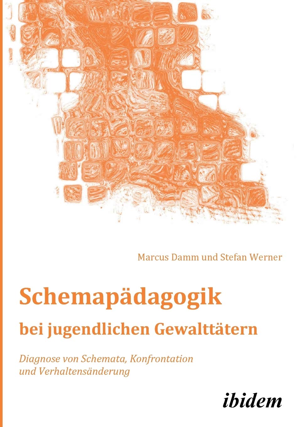 Schemapädagogik bei jugendlichen Gewalttätern: Diagnose von Schemata, Konfrontation und Verhaltensänderung (Schemapädagogik kompakt) Social Sciences