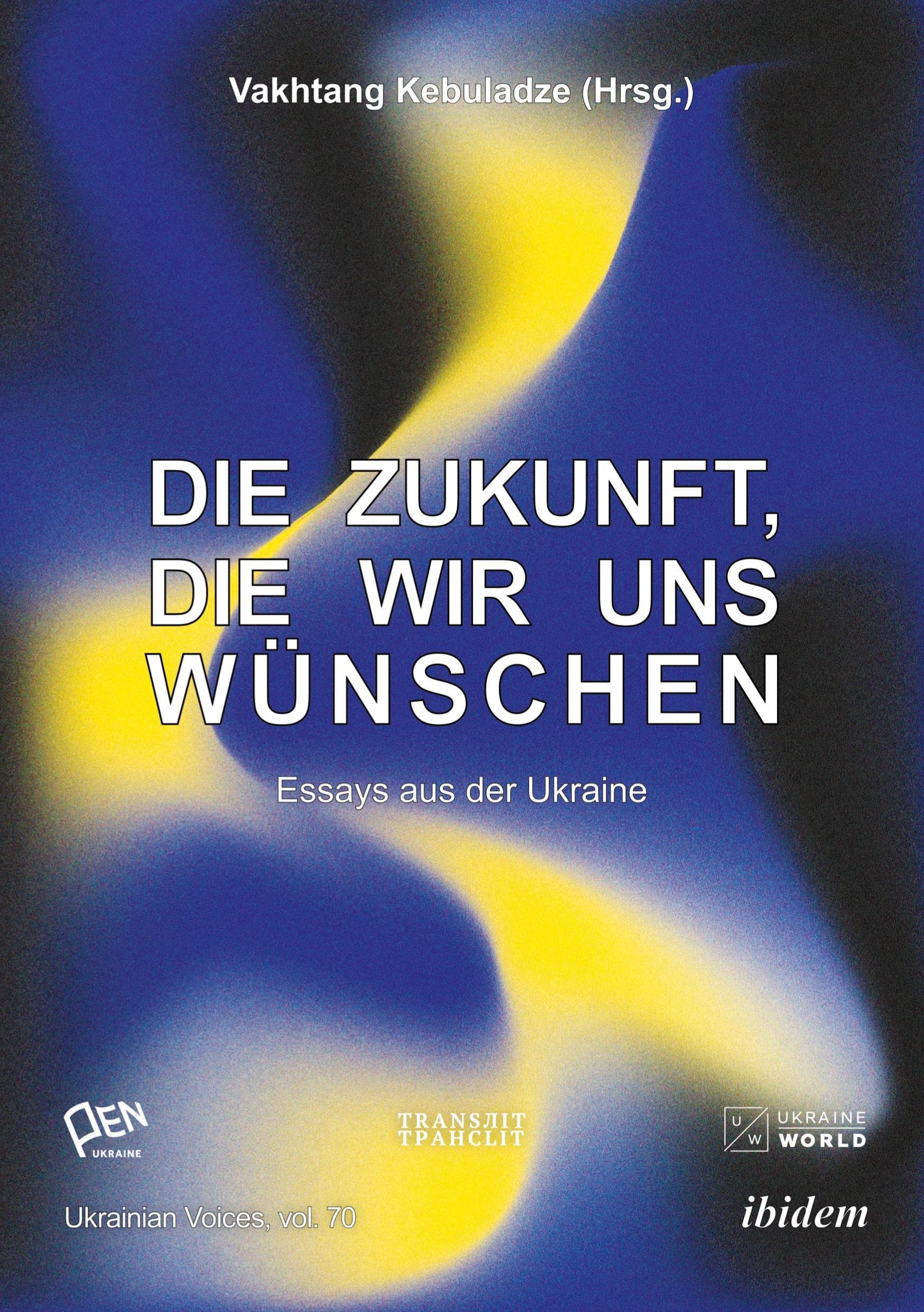 Die Zukunft, die wir uns wünschen: Essays aus der Ukraine (Ukrainian Voices) Books