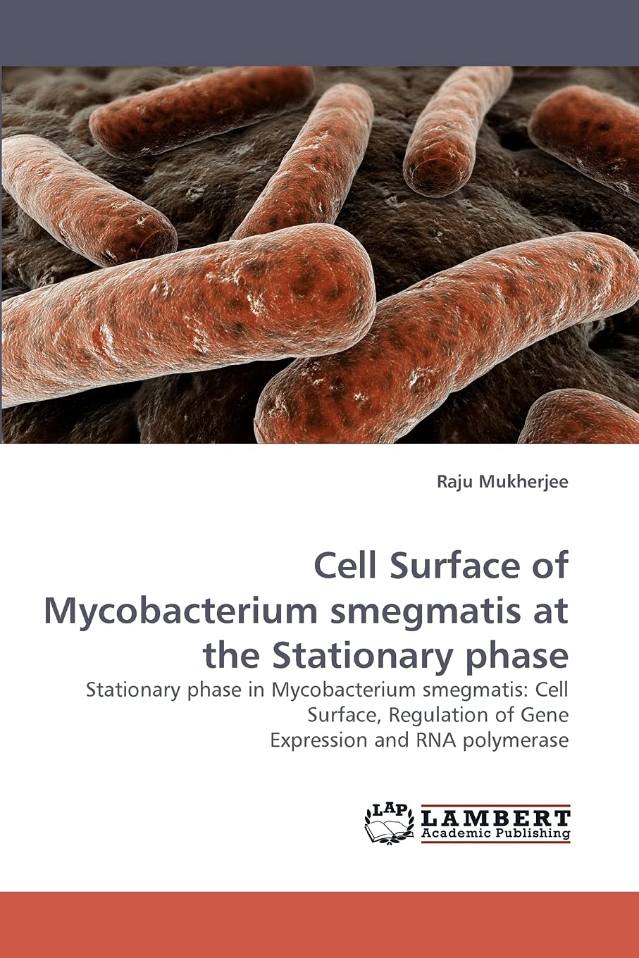 Cell Surface of Mycobacterium smegmatis at the Stationary phase: Stationary phase in Mycobacterium smegmatis: Cell Surface, Regulation of Gene Expression and RNA polymerase Natural Sciences