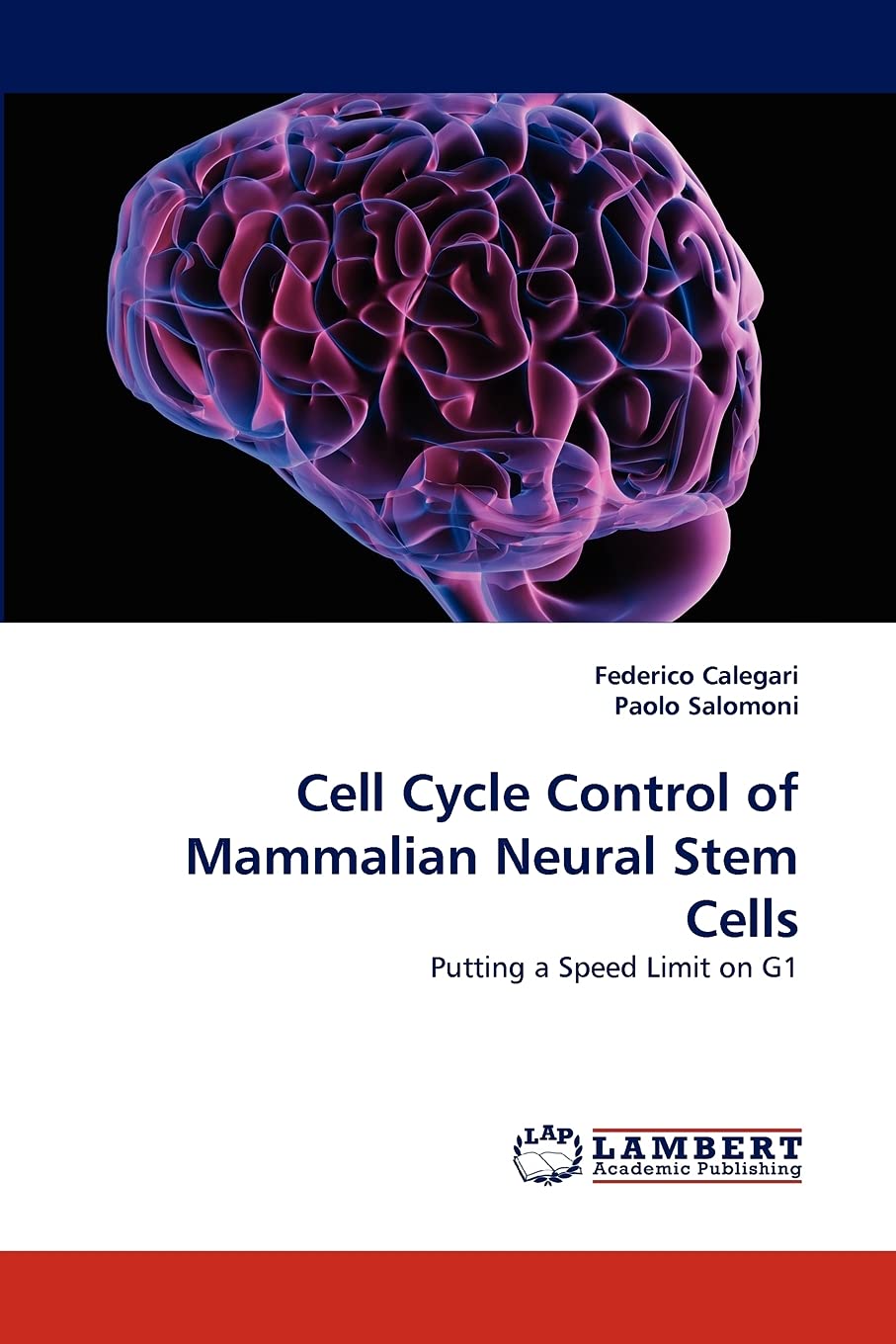 Cell Cycle Control of Mammalian Neural Stem Cells Natural Sciences