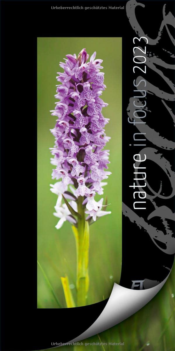 Nature in Focus Kalender 2023, Wandkalender mit Passepartouts zum Wegklappen im Hochformat (33x66 cm) - Inspirations- / Naturkalender Leisure, Home & Garden