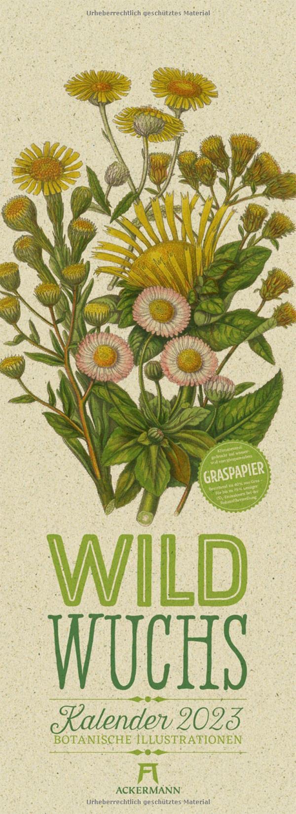 Wildwuchs - Botanische Illustrationen Kalender 2023, Wandkalender auf Graspapier, Hochformat (24x66 cm) - Kräuter, Pflanzen, hist. Chromolithografien Film, Art & Culture