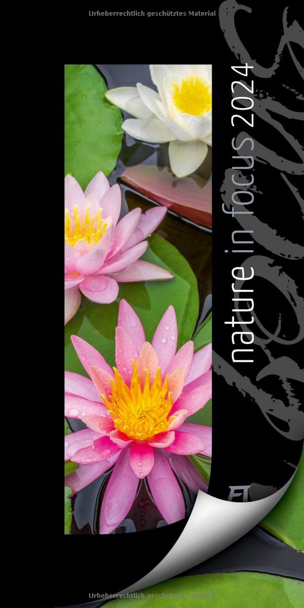 Nature in Focus Kalender 2024, Wandkalender mit Passepartouts zum Wegklappen im Hochformat (33x66 cm) - Inspirations- / Naturkalender Leisure, Home & Garden