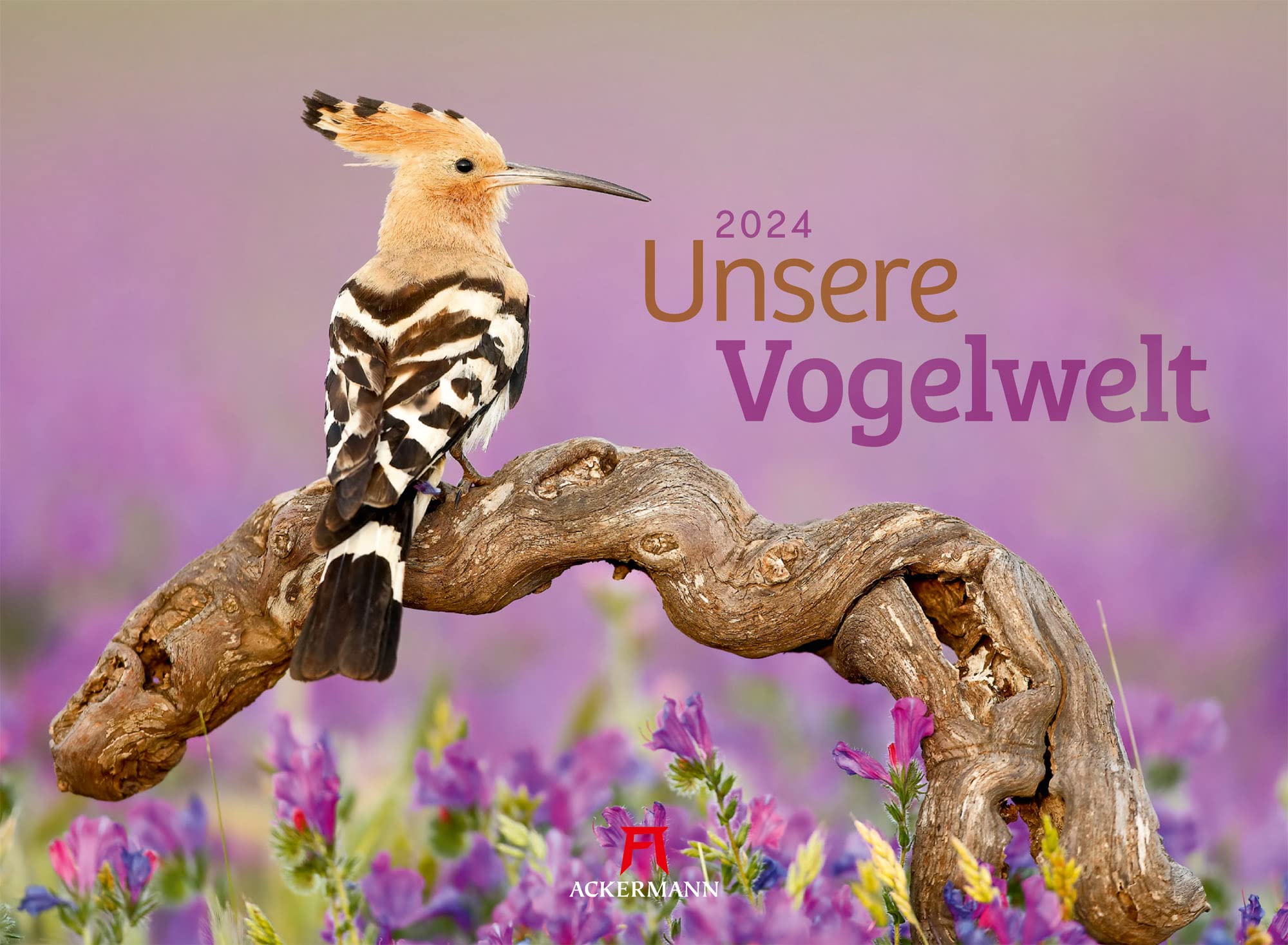 Unsere Vogelwelt Kalender 2024, Wandkalender im Querformat (45x33 cm) - Vogelkalender mit heimischen Vögeln, Tiere in Deutschland Leisure, Home & Garden