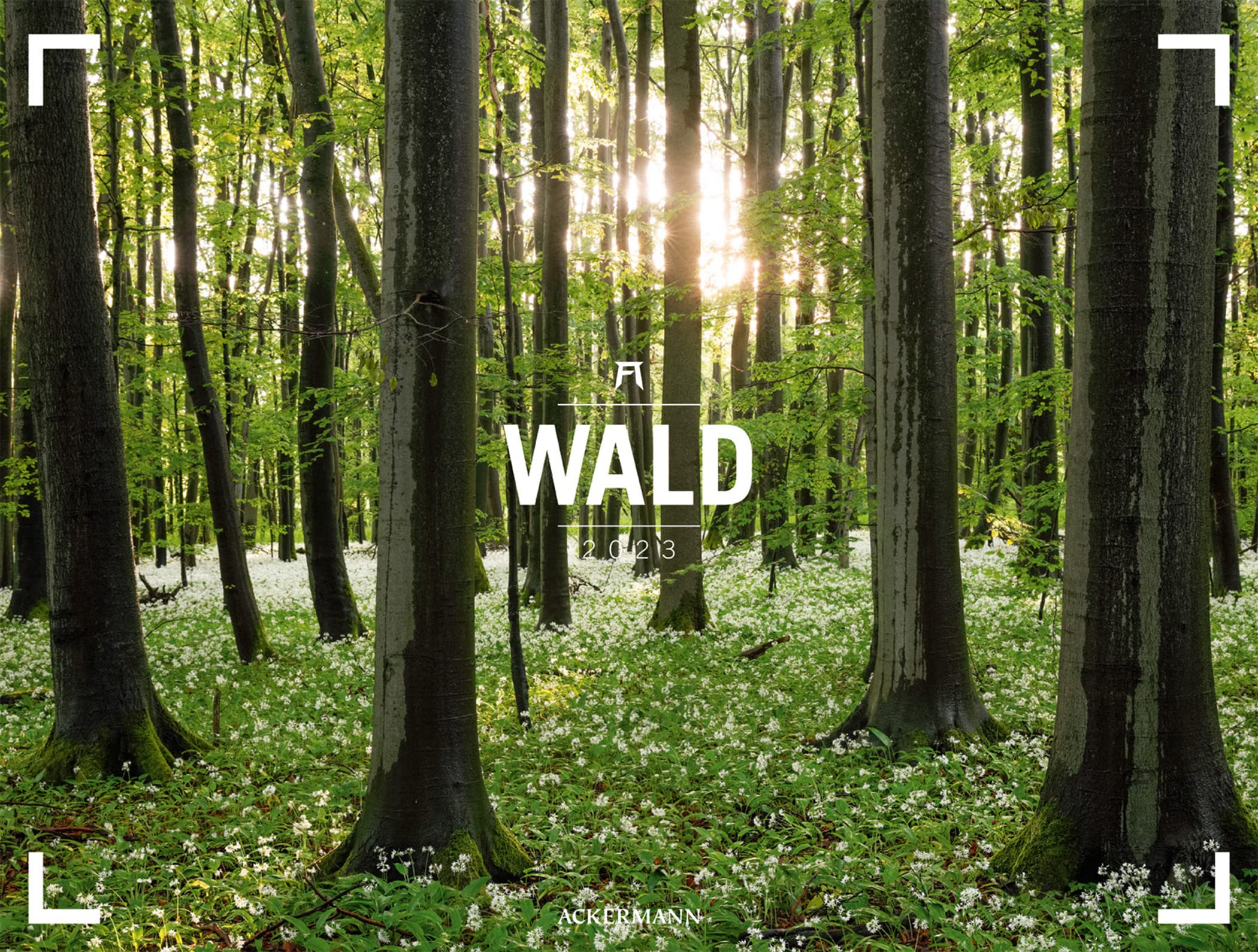 Wald - Gallery Kalender 2023, Wandkalender im Querformat (66x50 cm) - Großformat / Hochwertiger Panorama-Kalender Natur, Wälder und Bäume Photography