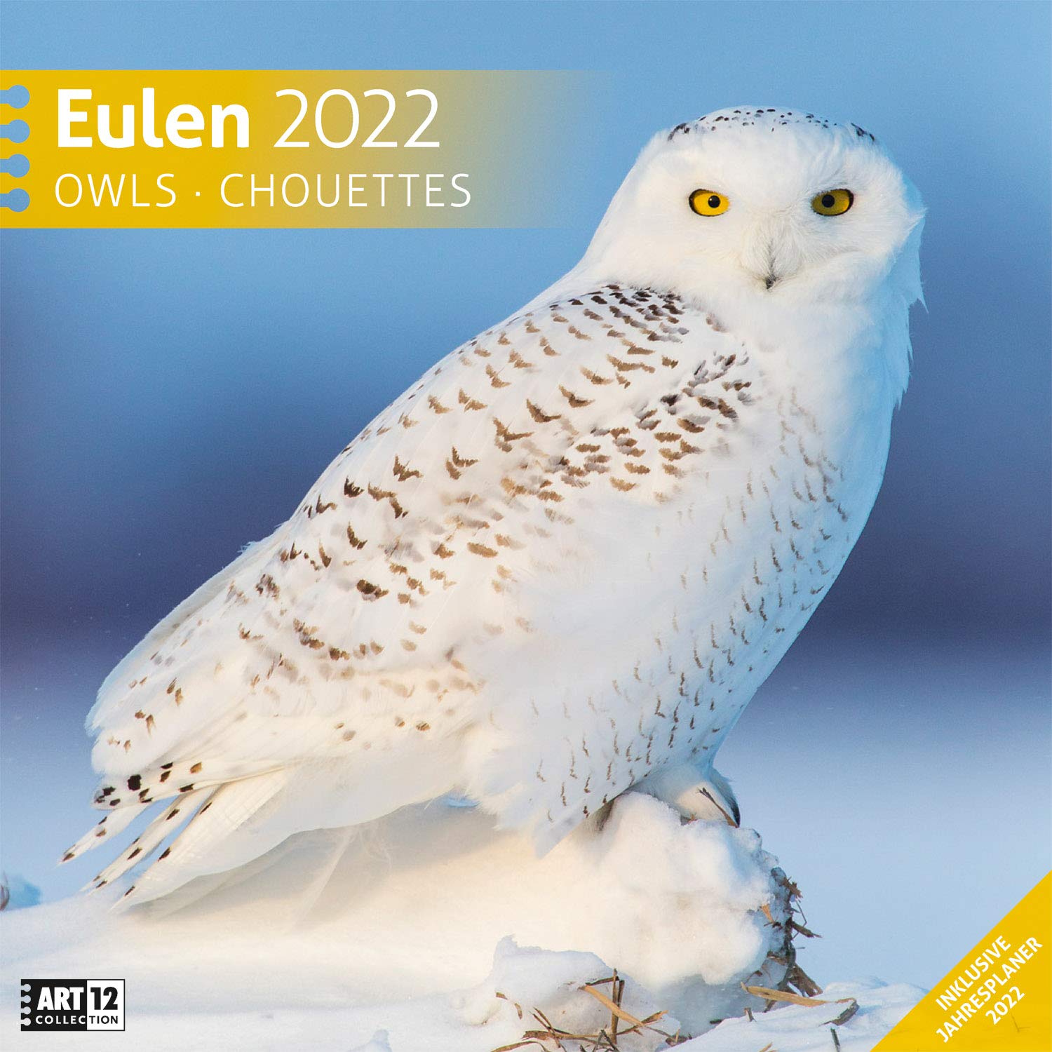 Eulen 2022, Wandkalender / Broschürenkalender im Hochformat (aufgeklappt 30x60 cm) - Geschenk-Kalender mit Monatskalendarium zum Eintragen Leisure, Home & Garden
