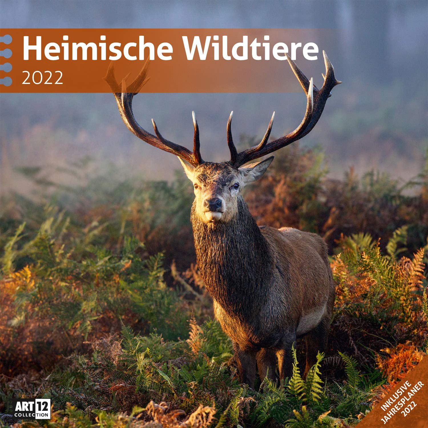 Heimische Wildtiere 2022, Wandkalender / Broschürenkalender im Hochformat (aufgeklappt 30x60 cm) - Kalender mit Monatskalendarium zum Eintragen Leisure, Home & Garden