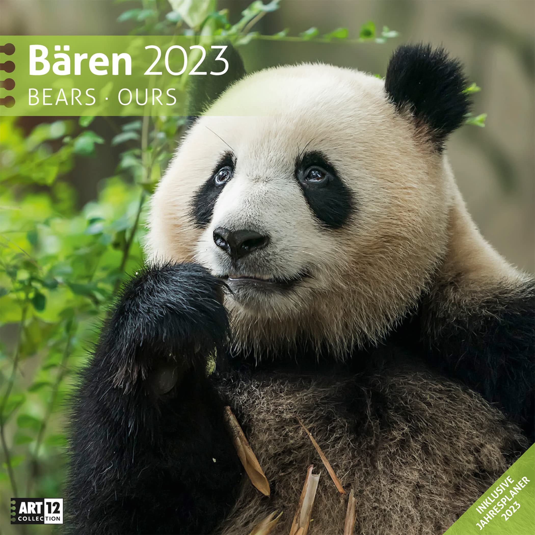 Bären 2023, Wandkalender / Broschürenkalender im Hochformat (aufgeklappt 30x60 cm) - Geschenk-Kalender mit Monatskalendarium zum Eintragen Leisure, Home & Garden
