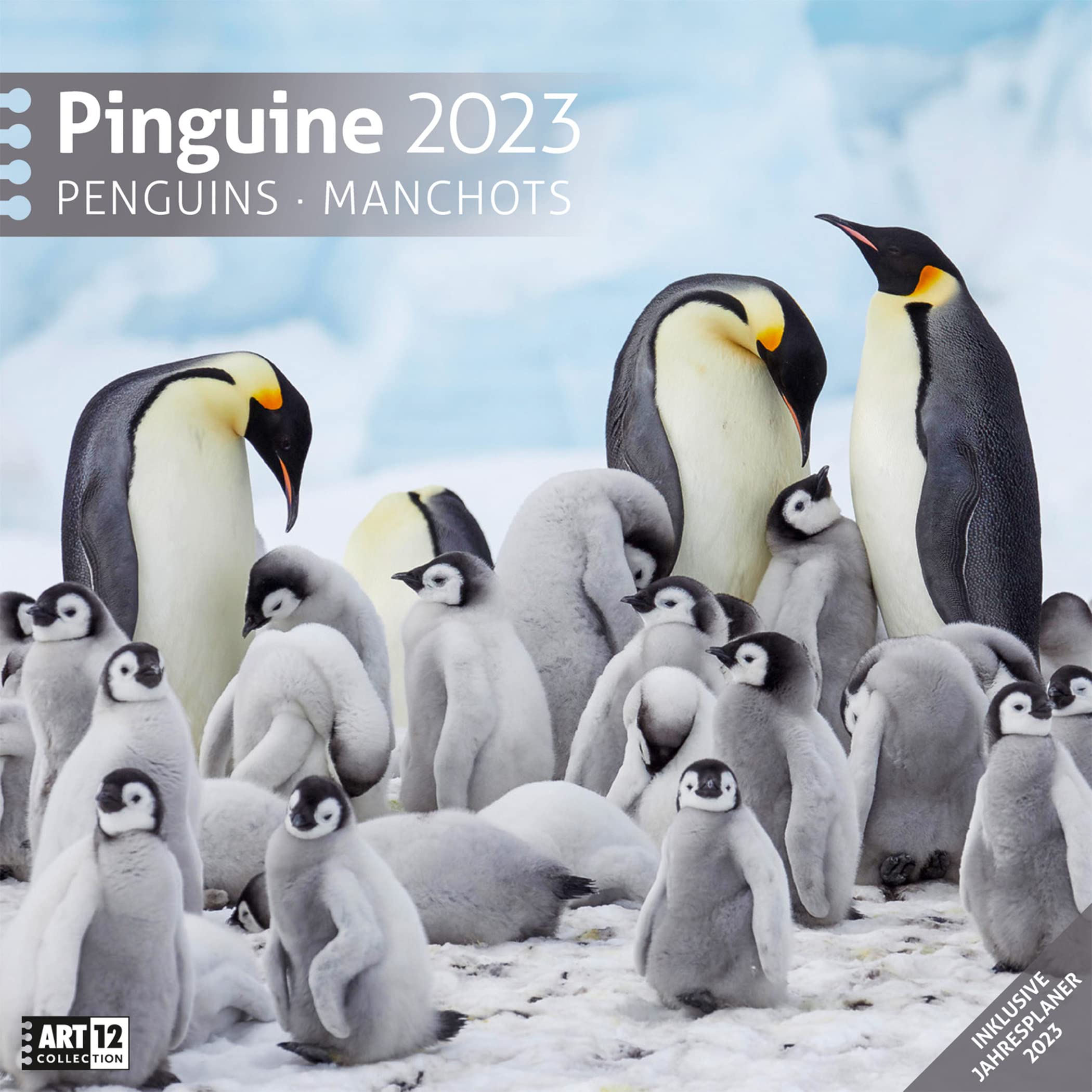 Pinguine 2023, Wandkalender / Broschürenkalender im Hochformat (aufgeklappt 30x60 cm) - Geschenk-Kalender mit Monatskalendarium zum Eintragen book